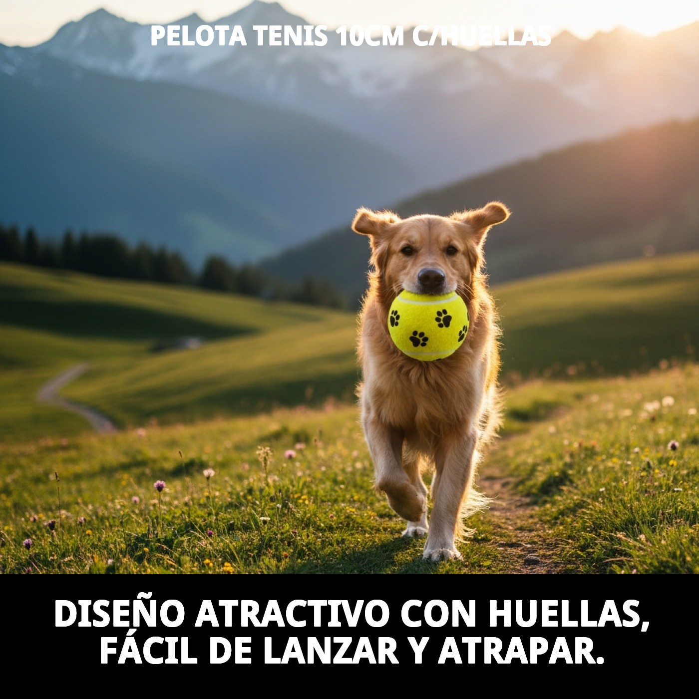 PELOTA TENIS 10cm C/HUELLAS