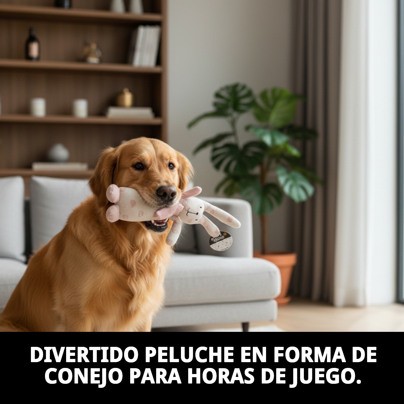 Peluche Conejo Trendy para Perros 25 cm Moly | Juguete Suave con Sonido y Diseño Moderno