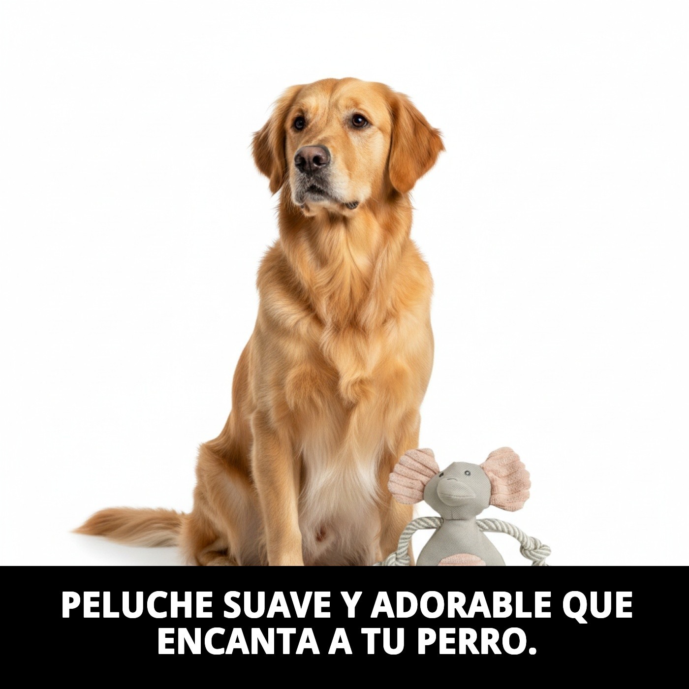 Peluche Dumbito para Perros 25 cm Moly | Juguete Suave con Sonido y Súper Tierno