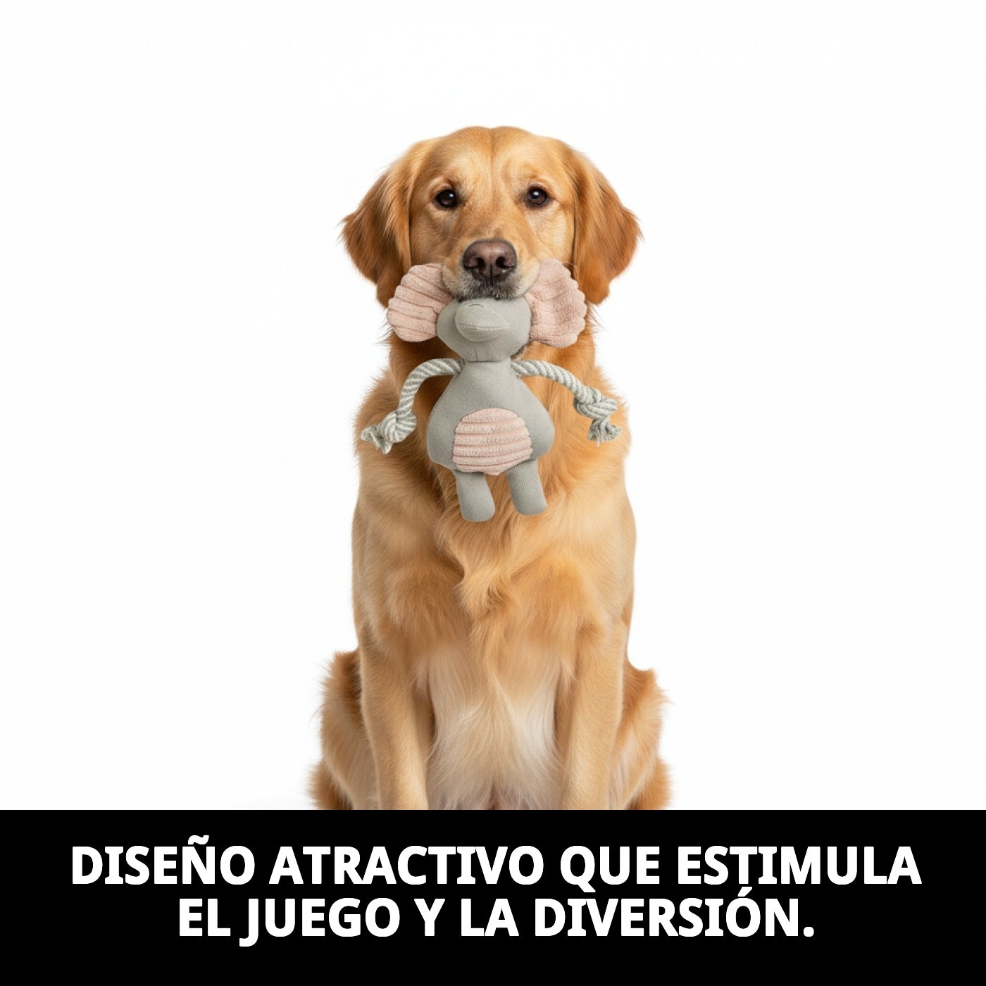 Peluche Dumbito para Perros 25 cm Moly | Juguete Suave con Sonido y Súper Tierno