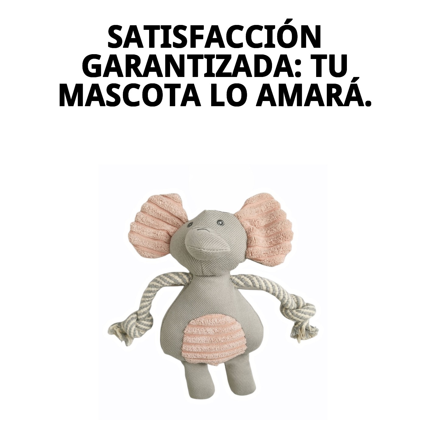 Peluche Dumbito para Perros 25 cm Moly | Juguete Suave con Sonido y Súper Tierno