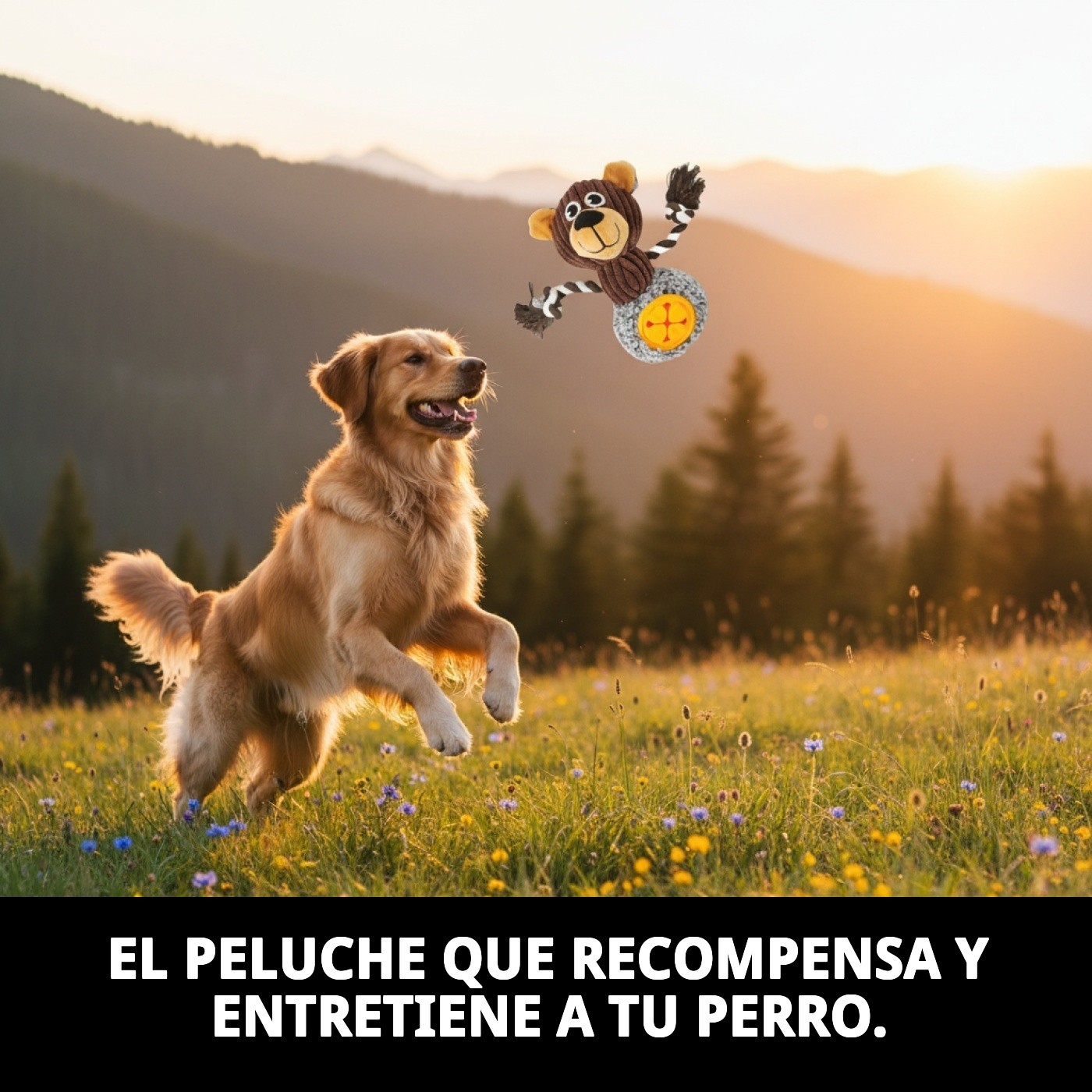 Peluche para Perros con Premio 26 cm Moly | Juguete Interactivo Rellenable y Súper Divertido