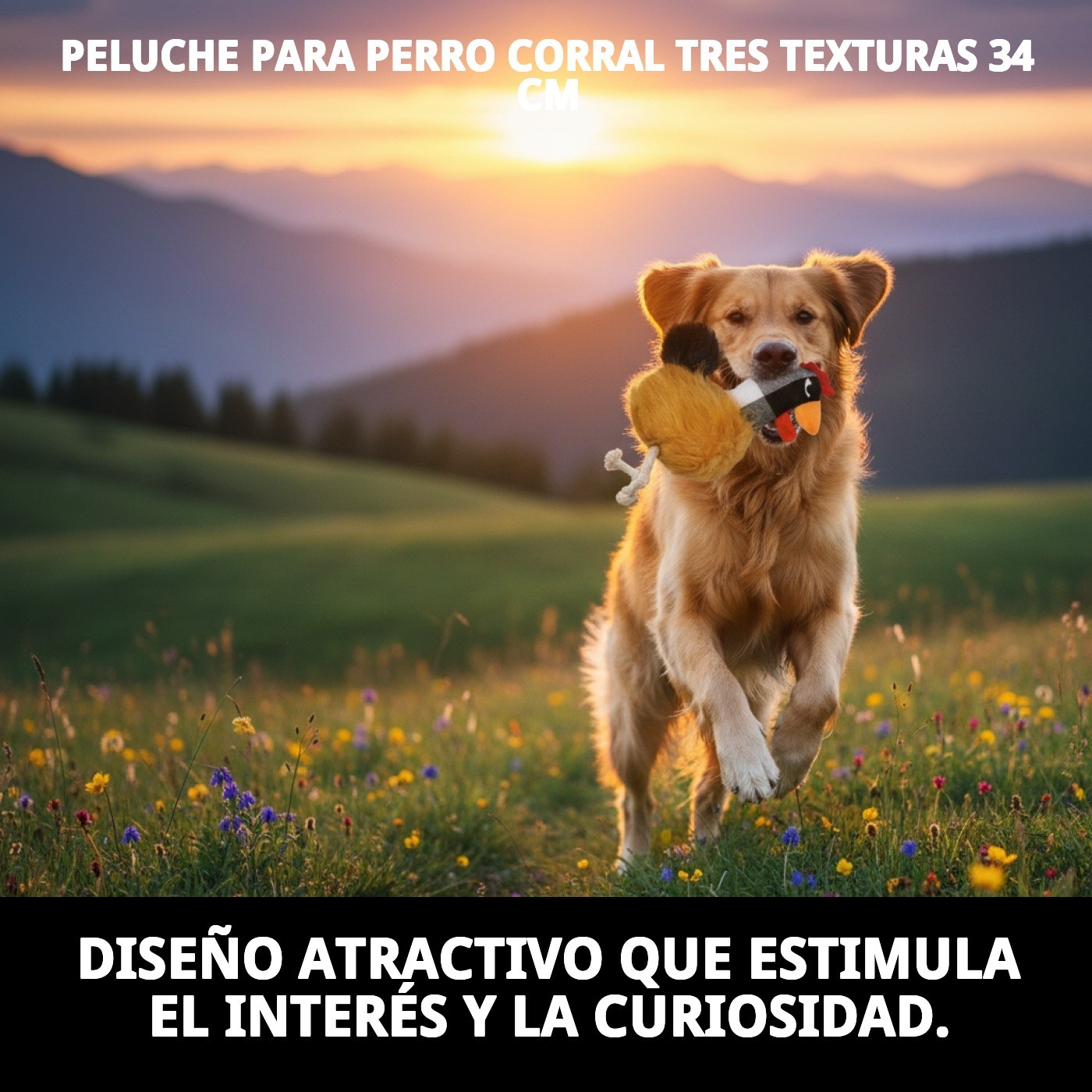 Peluche para Perros Corral 34 cm Moly | Juguete con Tres Texturas y Sonido Interactivo