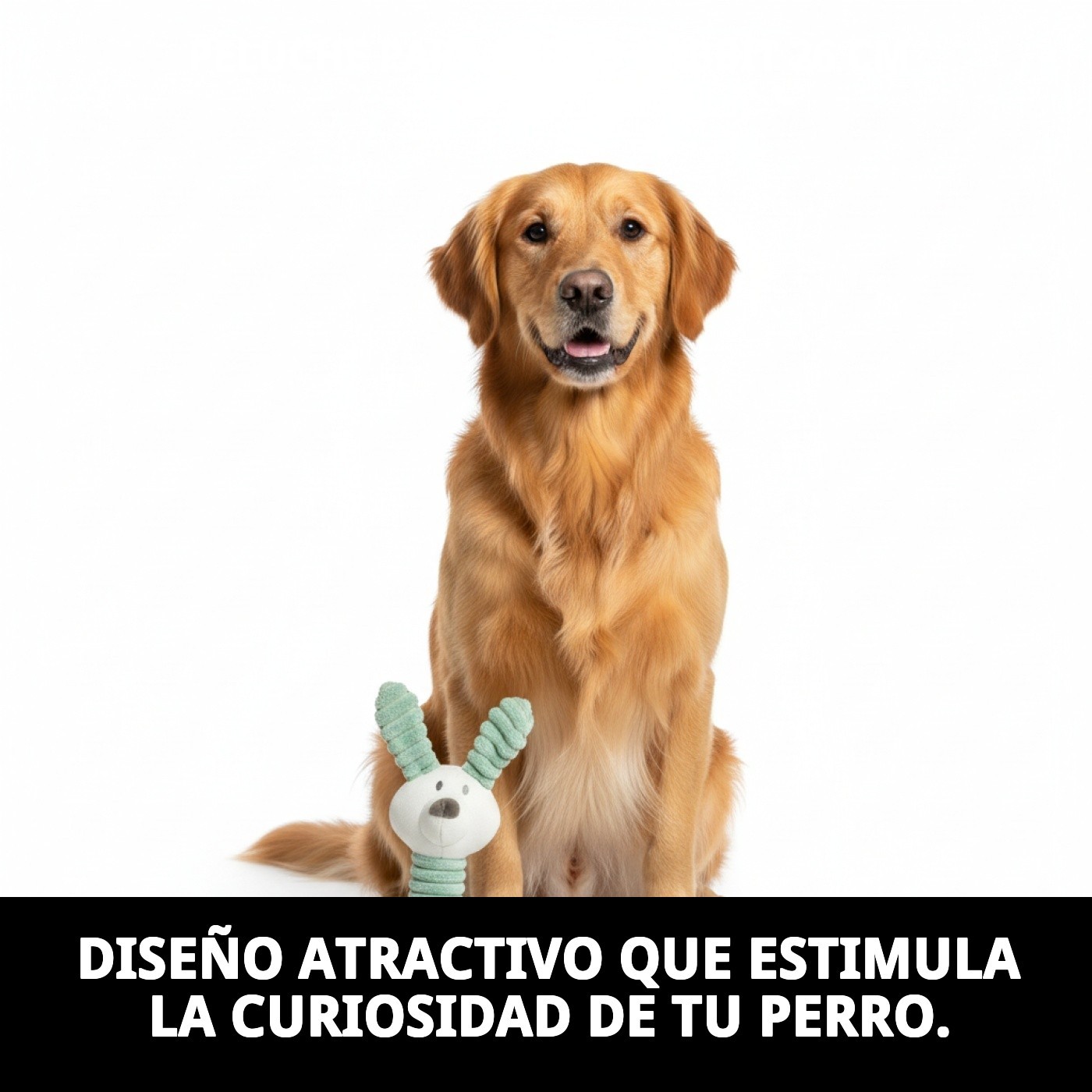 Peluche Rabbit para Perros 26 cm Moly | Juguete Suave con Sonido, Resistente y Súper Divertido