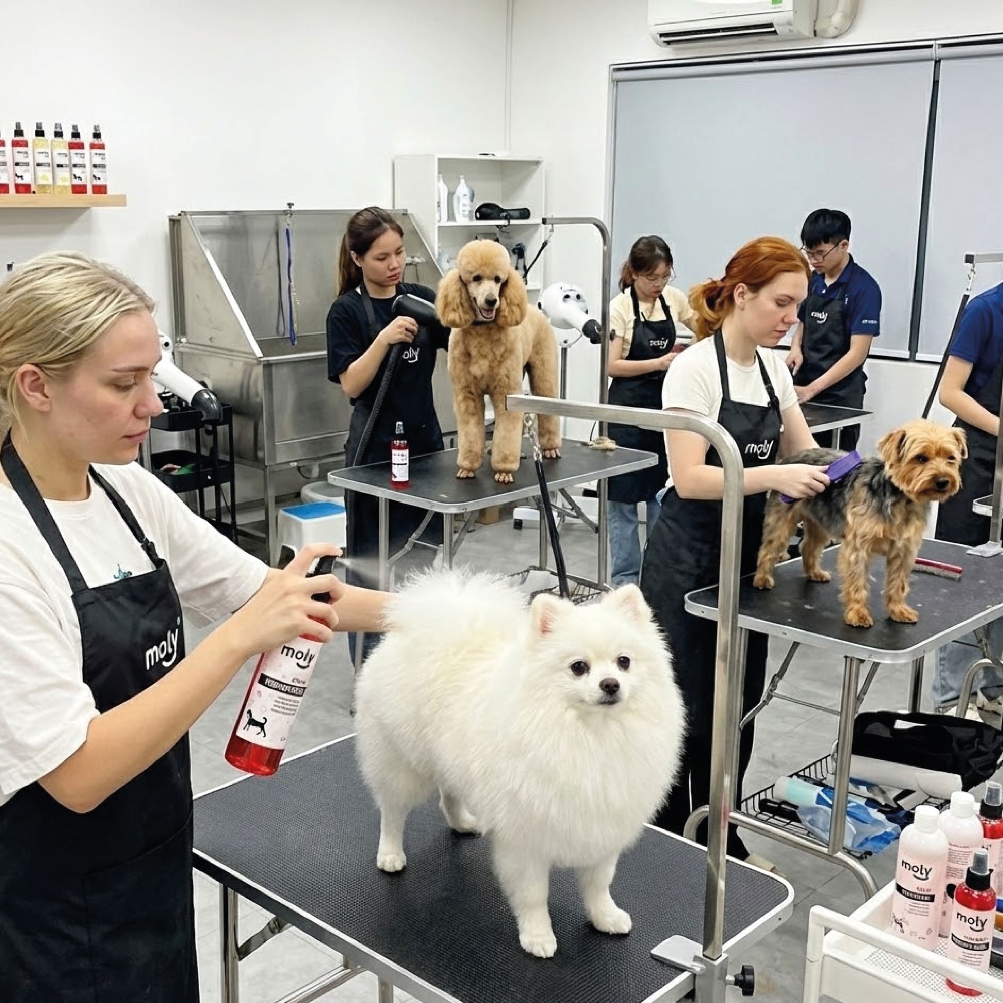 Perfume Aroma Fresa 125 ml Moly | Fragancia Dulce, Suave y Segura para Perros