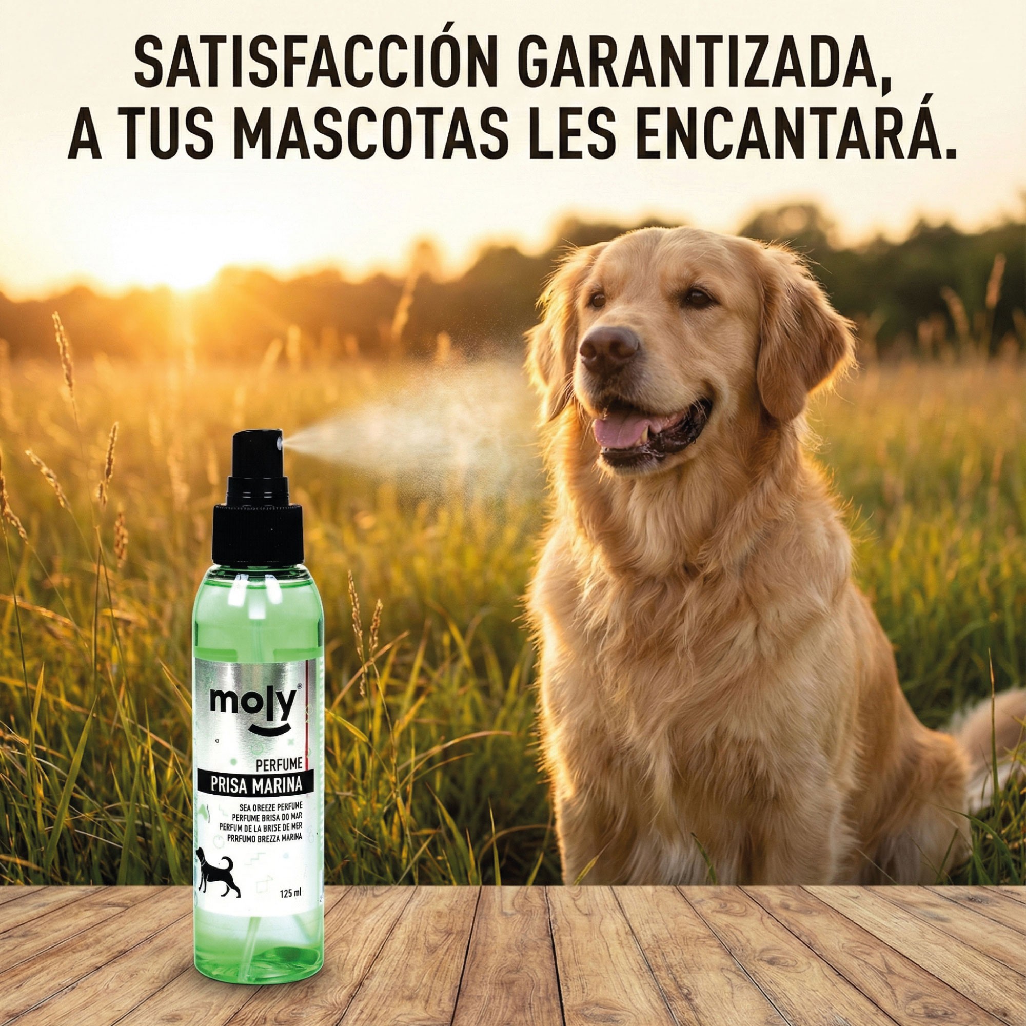 Perfume Moly Brisa Marina 125 ml | Aroma Fresco y Duradero para Perros y Gatos