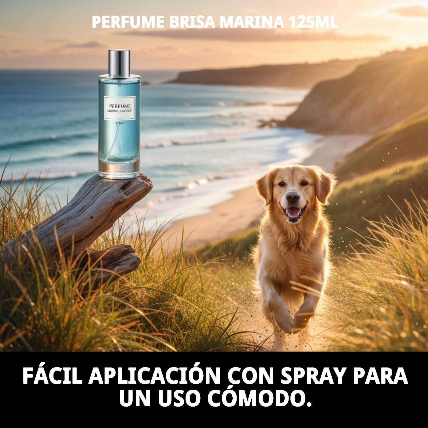 Perfume Moly Brisa Marina 125 ml | Aroma Fresco y Duradero para Perros y Gatos