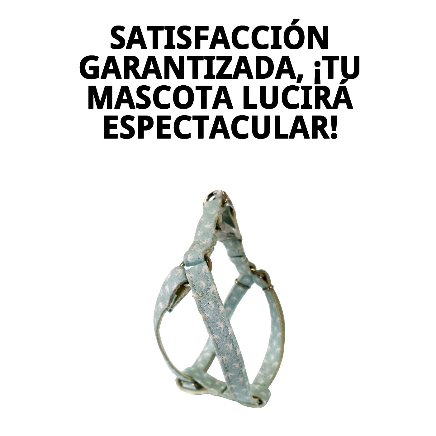 PETRAL GAVIOTAS T-3 30-40*1,5