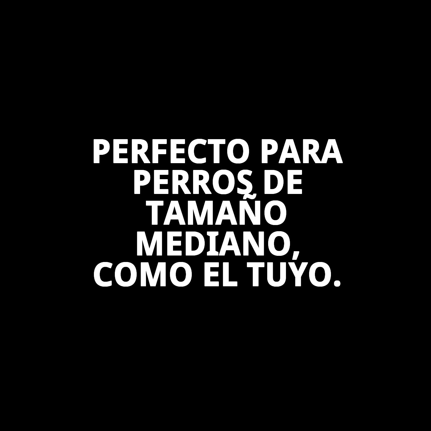 PETRAL NUBE GRIS T-5 40-50*2