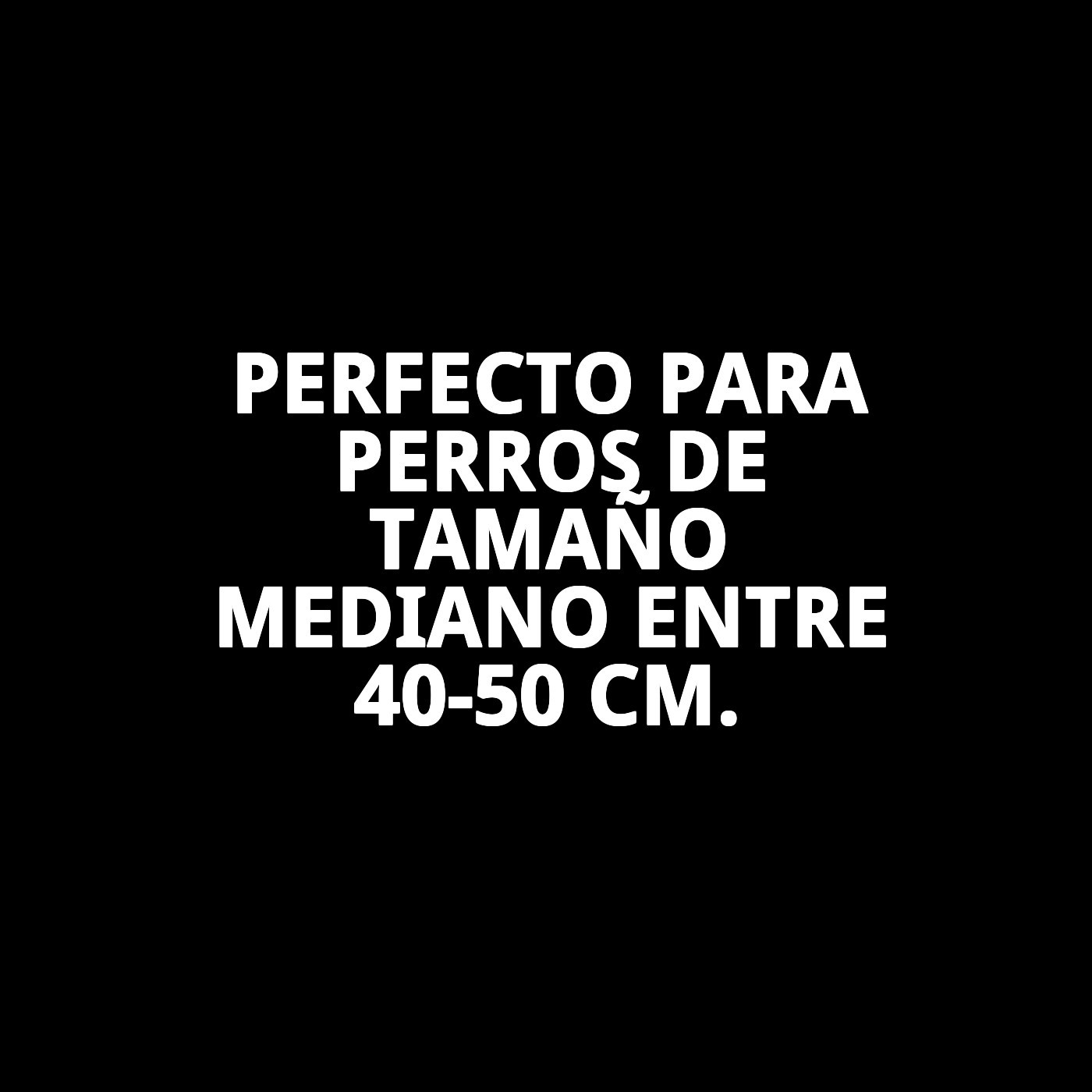 Petral para Perro Gaviotas T-5 (40–50 cm x 2 cm) | Arnés Ajustable y Cómodo – Moly
