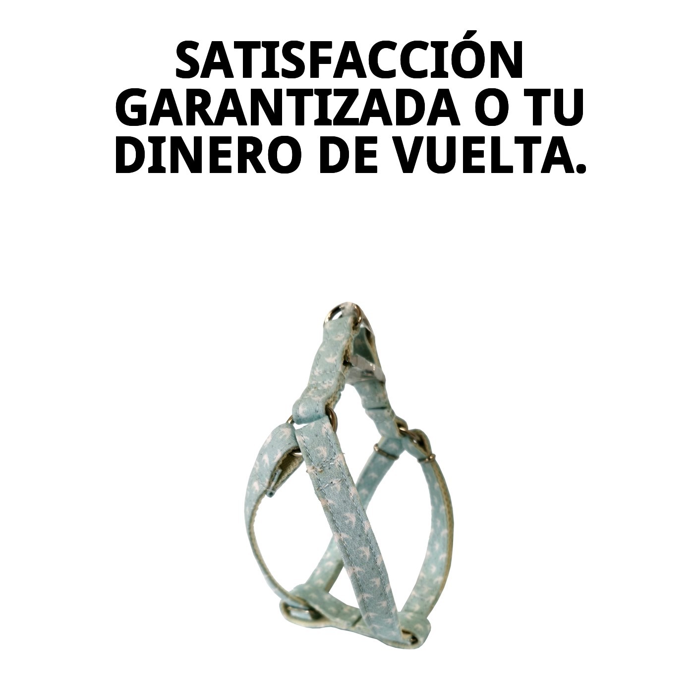 Petral para Perro Gaviotas T-5 (40–50 cm x 2 cm) | Arnés Ajustable y Cómodo – Moly