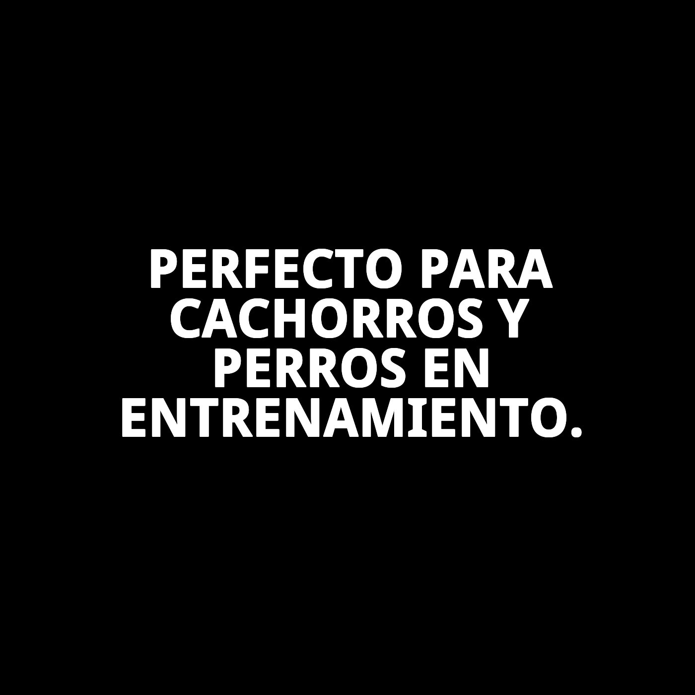 Puppy Pads Grandes 60x90 cm Moly | Empapadores Ultra Absorbentes para Perros – Pack 10 uds