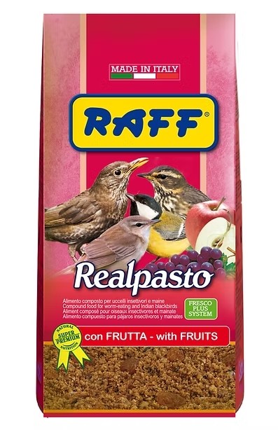 RAFF REAL PASTO 1 KG