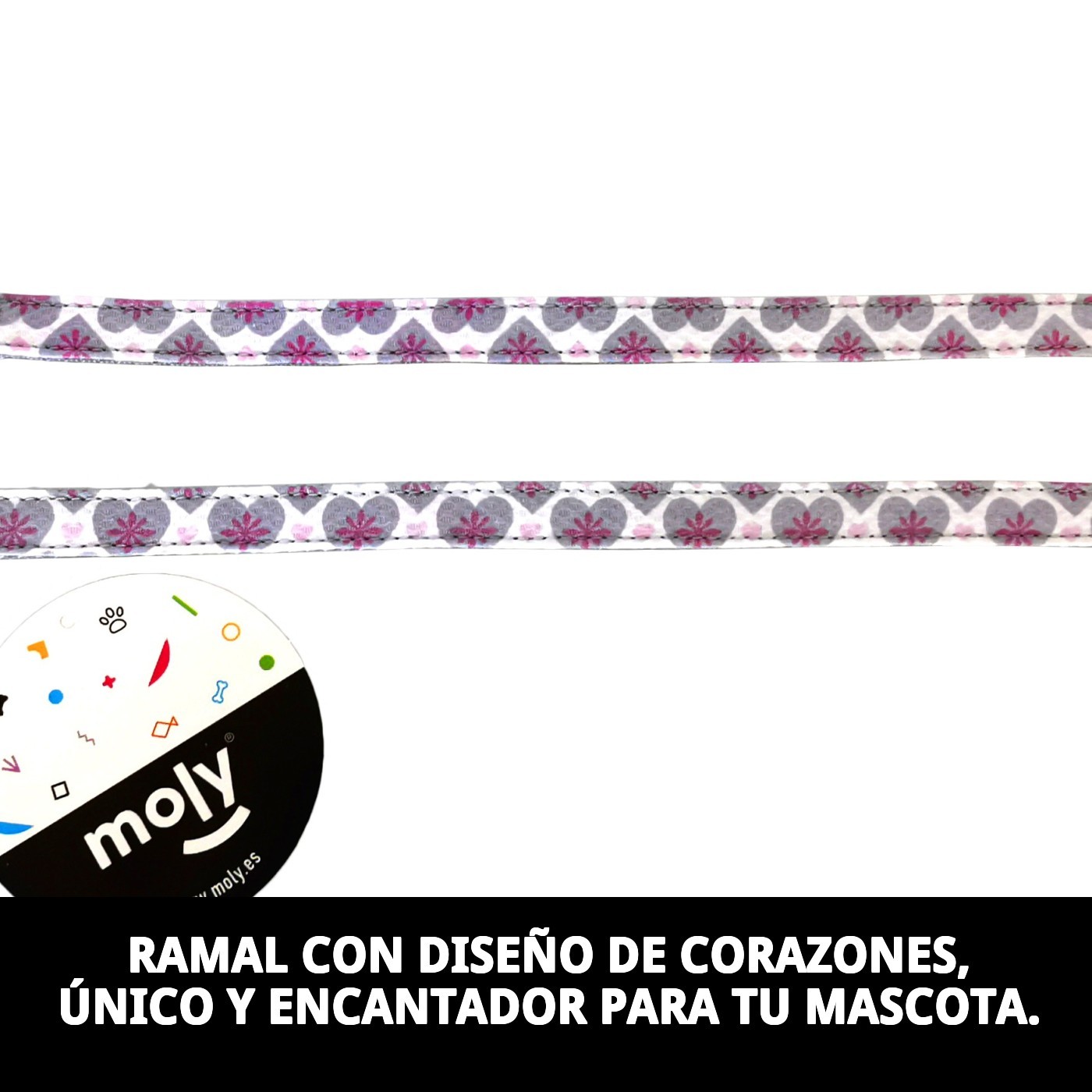 RAMAL  CORAZONES T-2 120*2