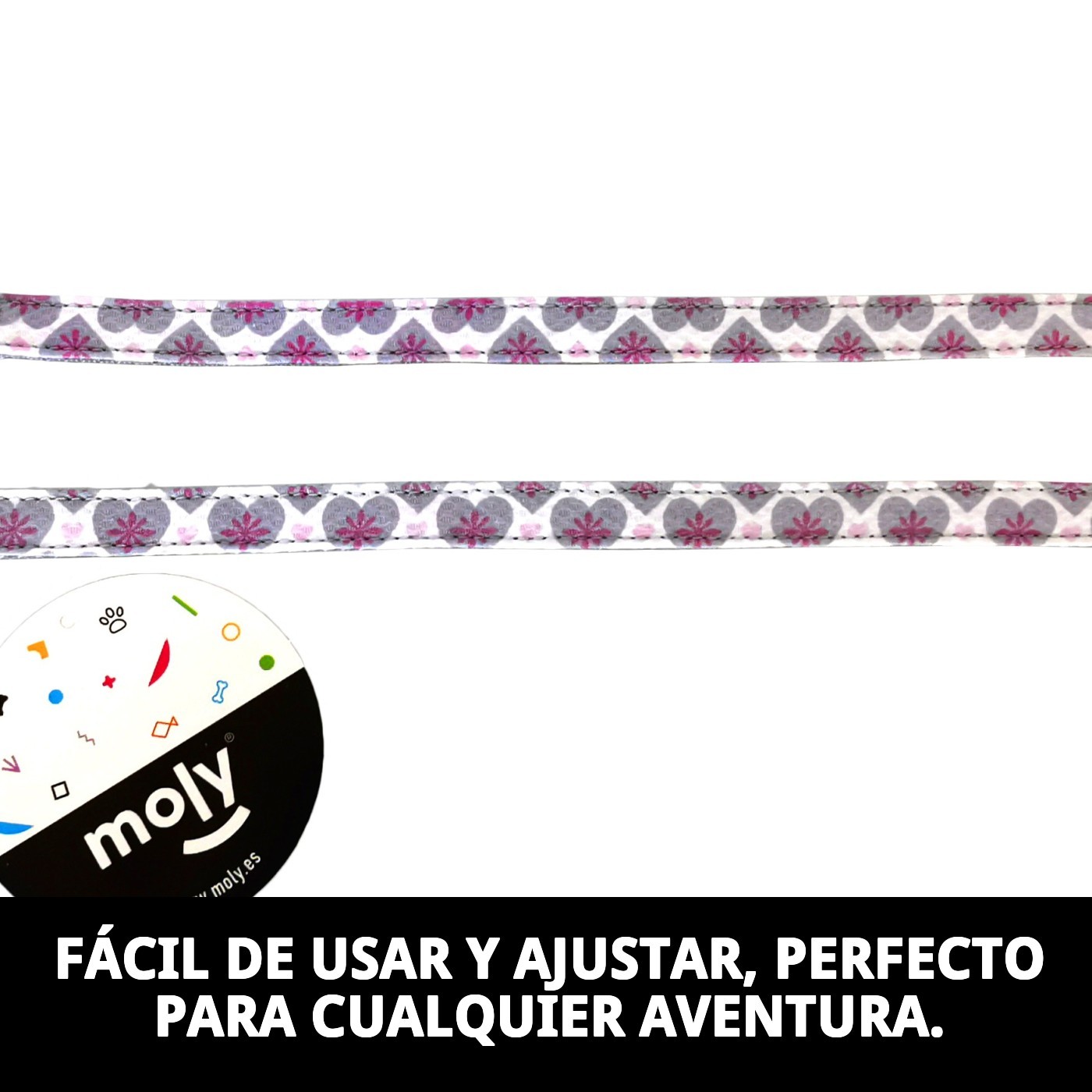 RAMAL  CORAZONES T-2 120*2