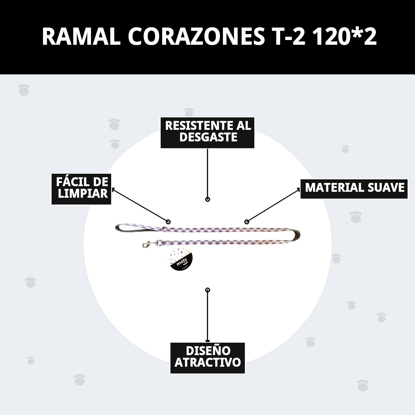 RAMAL  CORAZONES T-2 120*2
