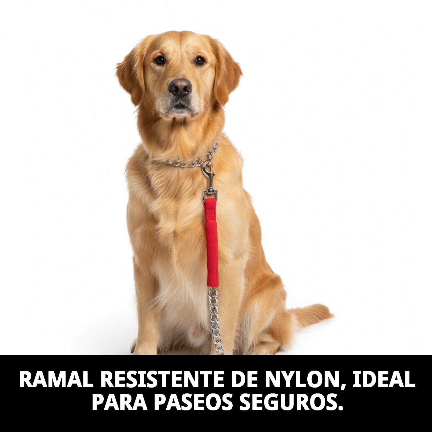 RAMAL CROMO E.NYLON 100CMX3MM