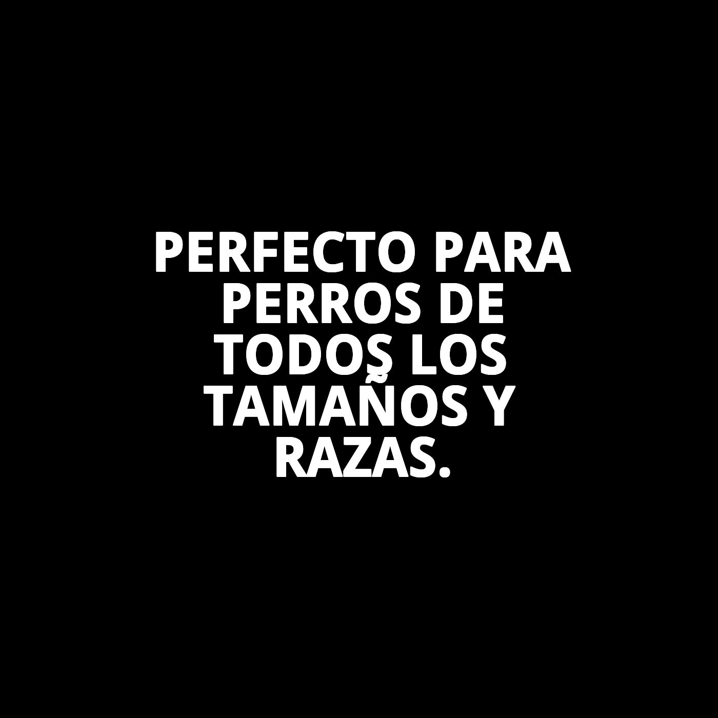 RAMAL CROMO E.NYLON 60CMX4MM