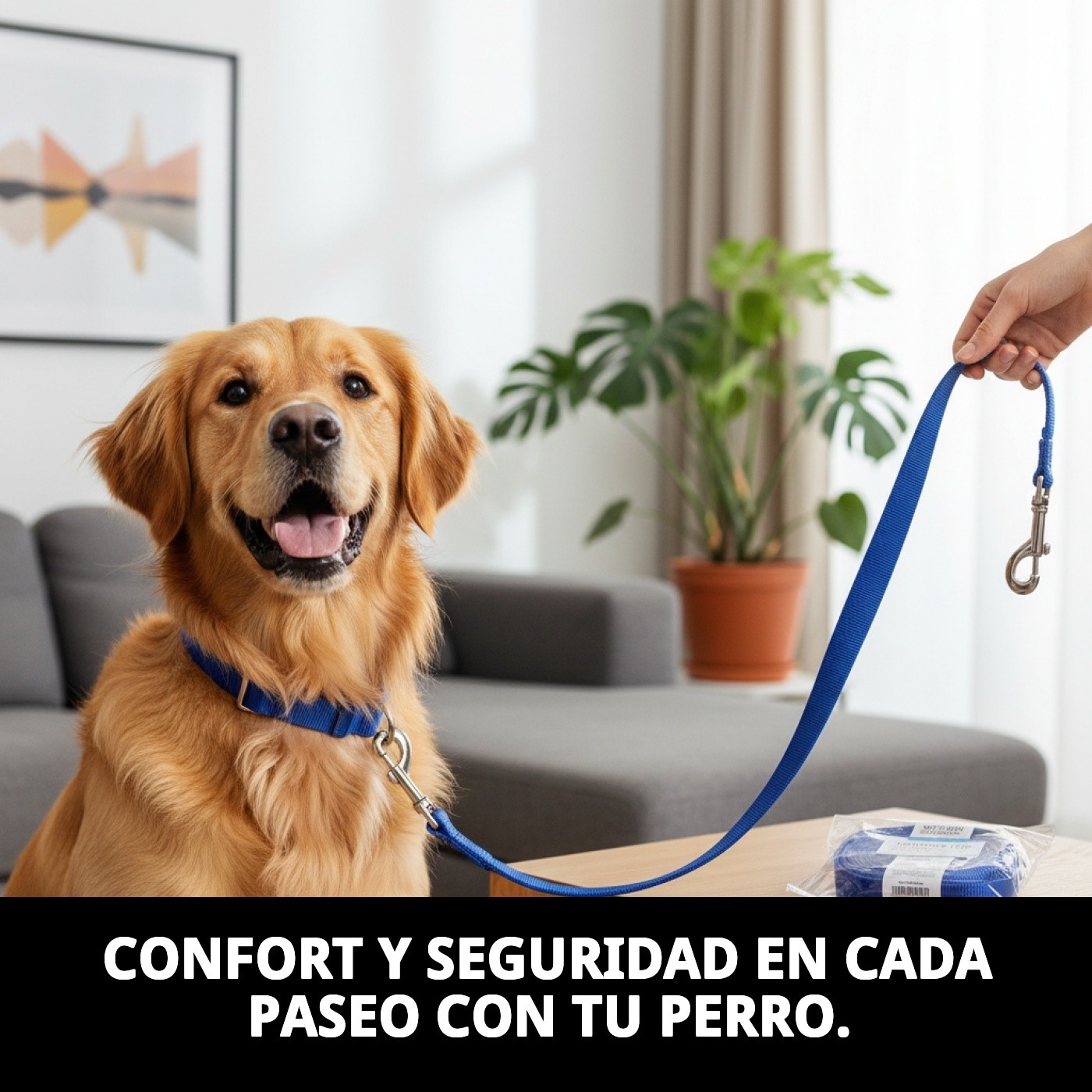 Ramal de Nylon Confort 120 cm x 2 cm con Mango Acolchado | Correa Resistente para Perros – Moly