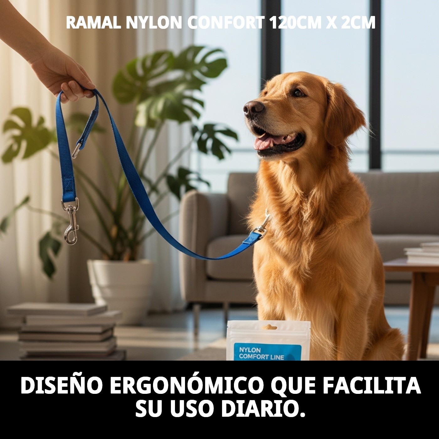 Ramal de Nylon Confort 120 cm x 2 cm con Mango Acolchado | Correa Resistente para Perros – Moly