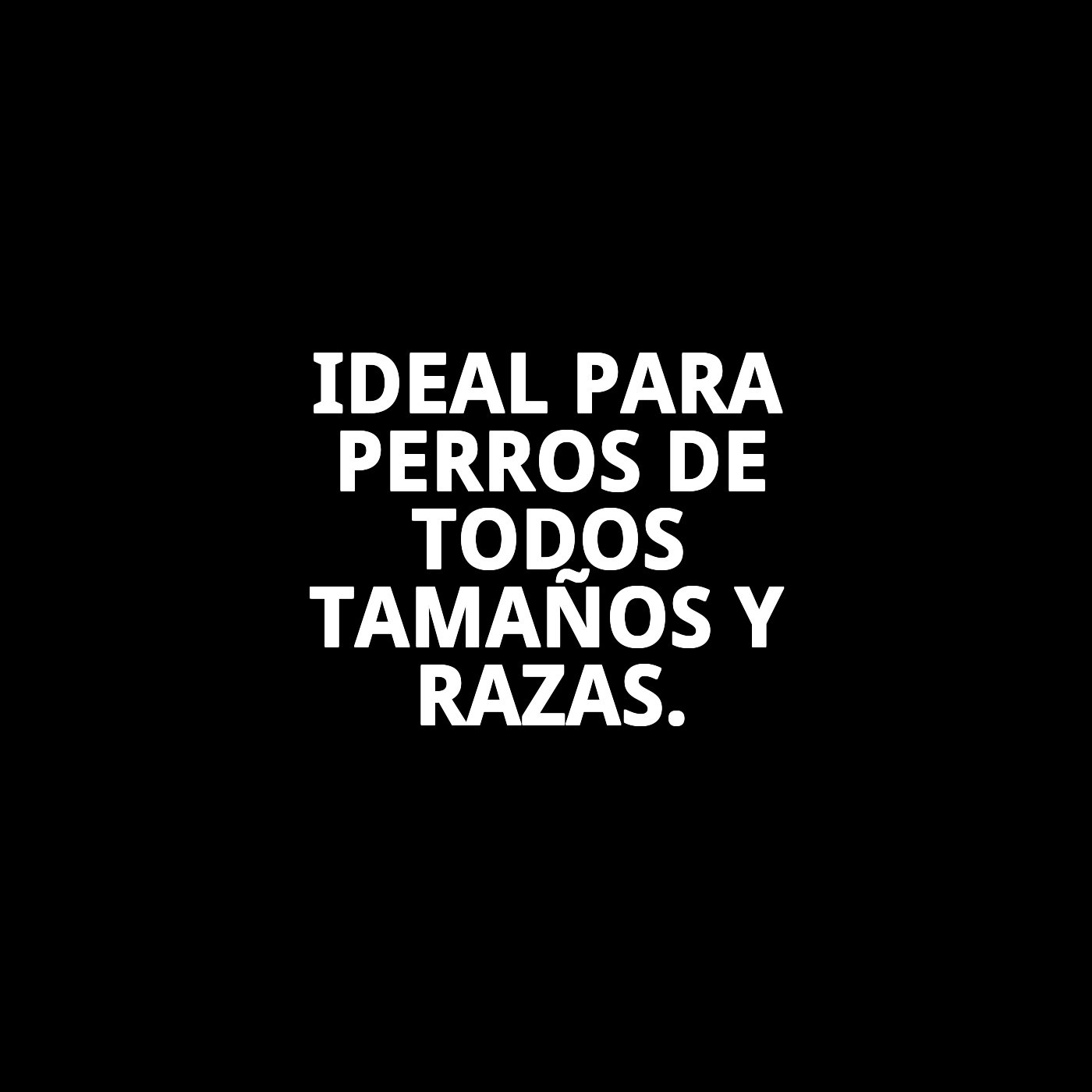 RAMAL ESCOCES T-2 120*2