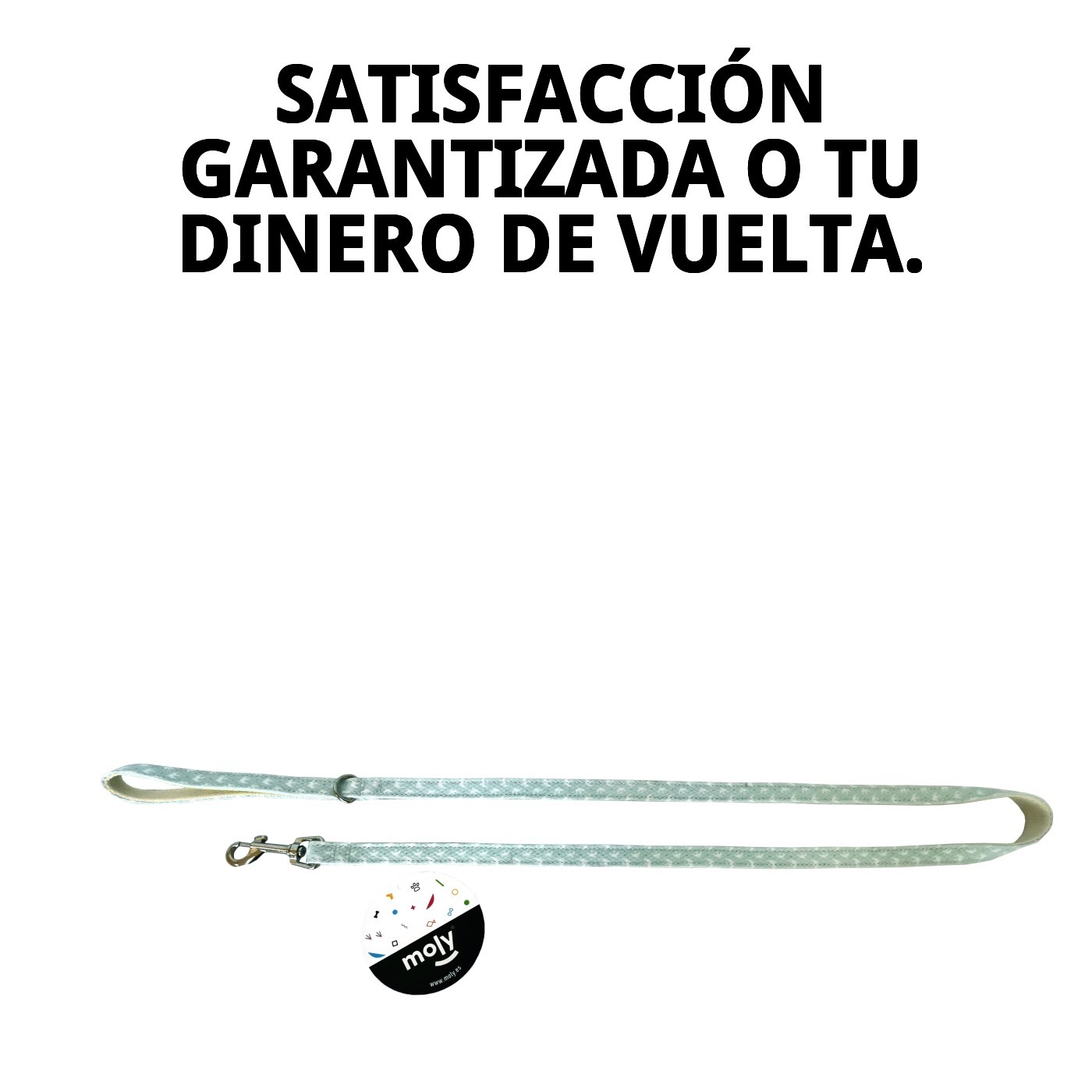 RAMAL GAVIOTAS T-2 120*2