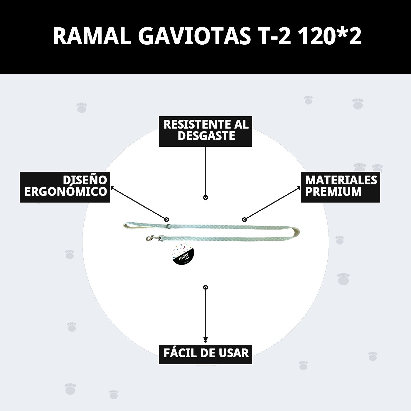 RAMAL GAVIOTAS T-2 120*2