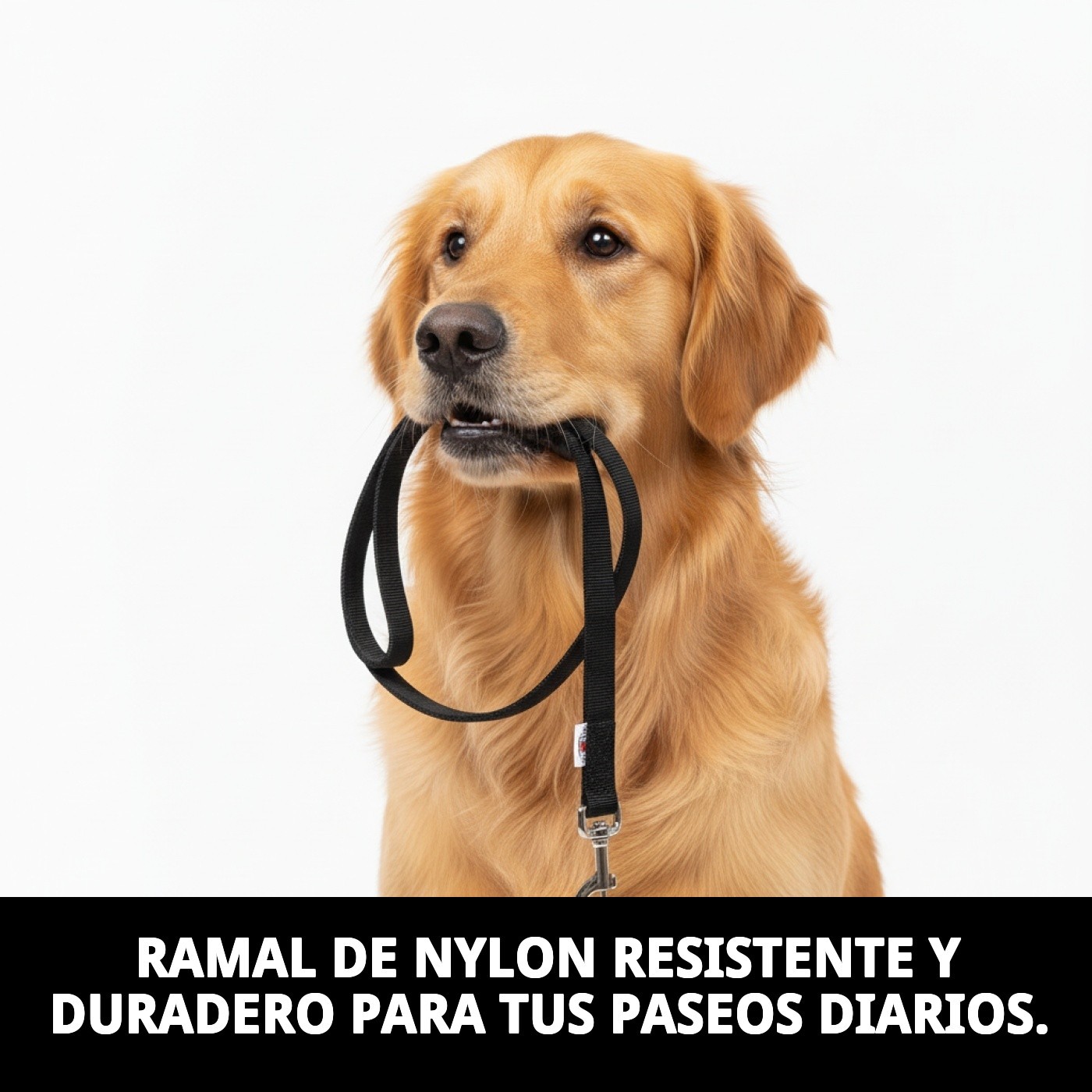 RAMAL LISO NYLON 60cm X 2,5cm