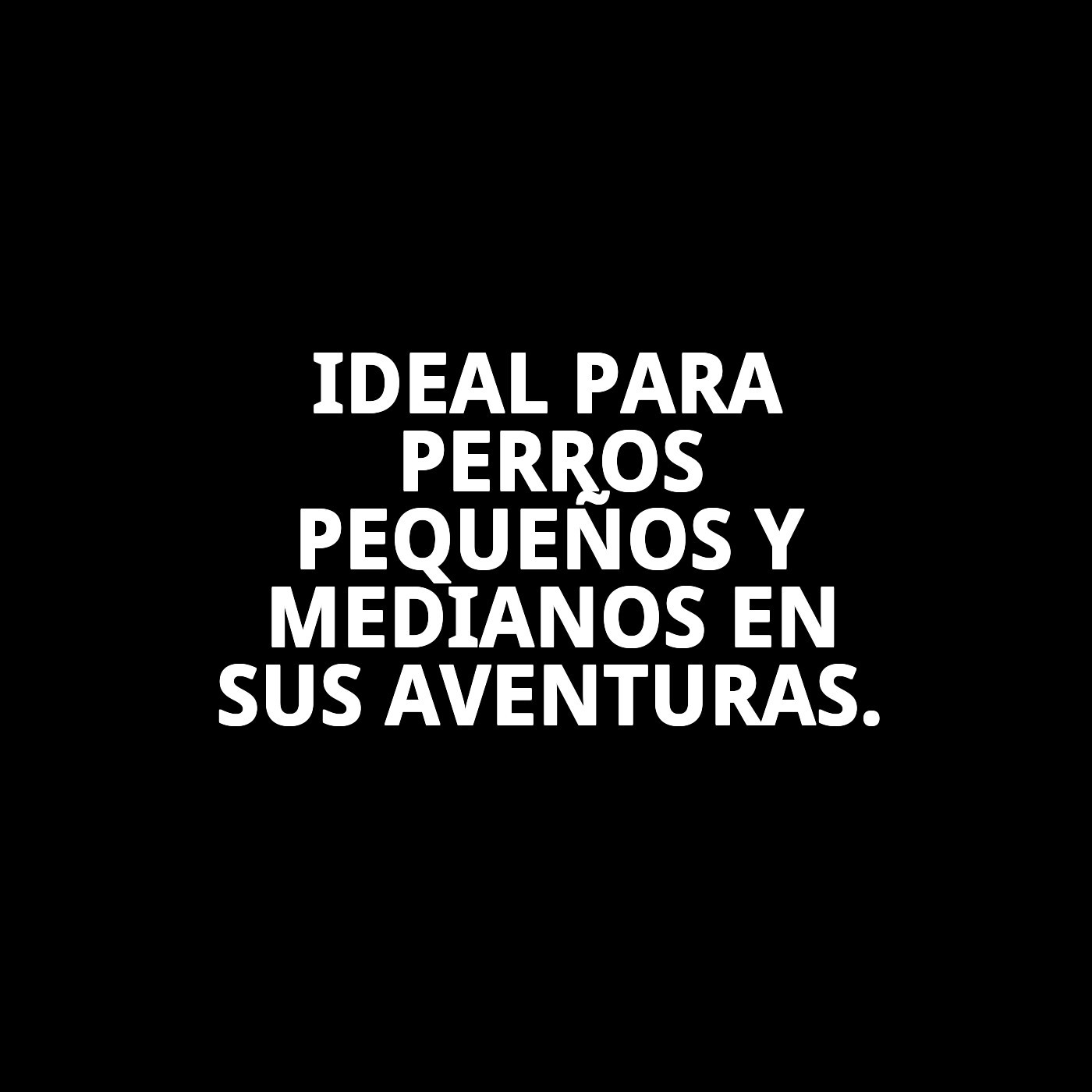 RAMAL LISO NYLON 60cm X 2,5cm