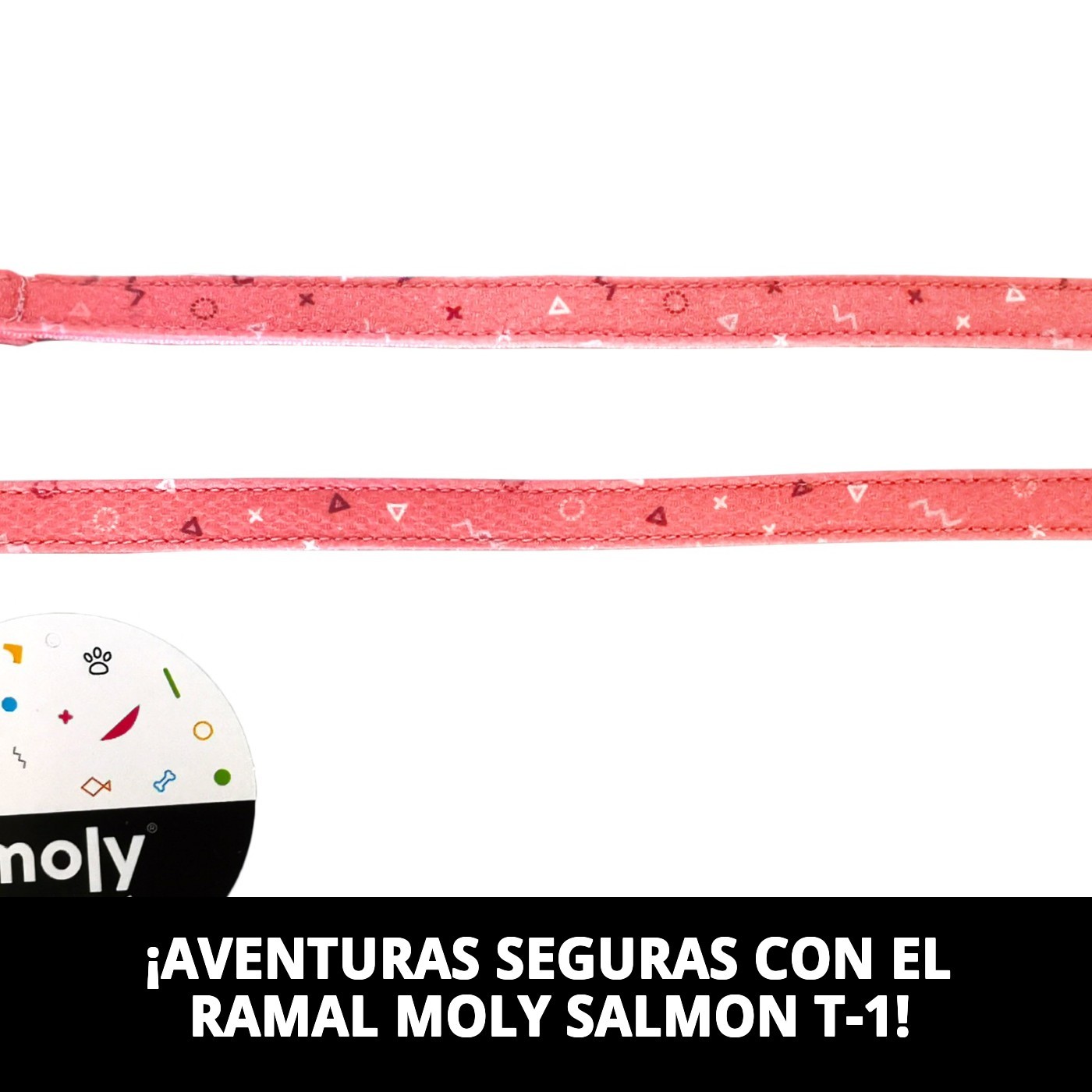 RAMAL MOLY SALMON T-1 120*1,5