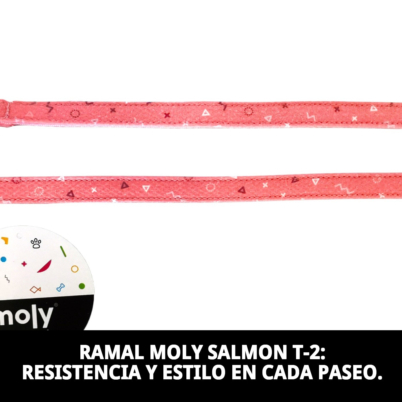 RAMAL MOLY SALMON T-2 120*2