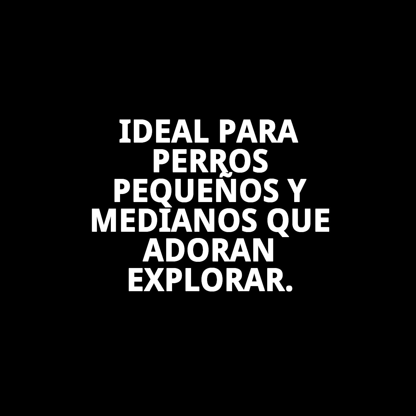 RAMAL NUBES GRIS T-1 120*1,5