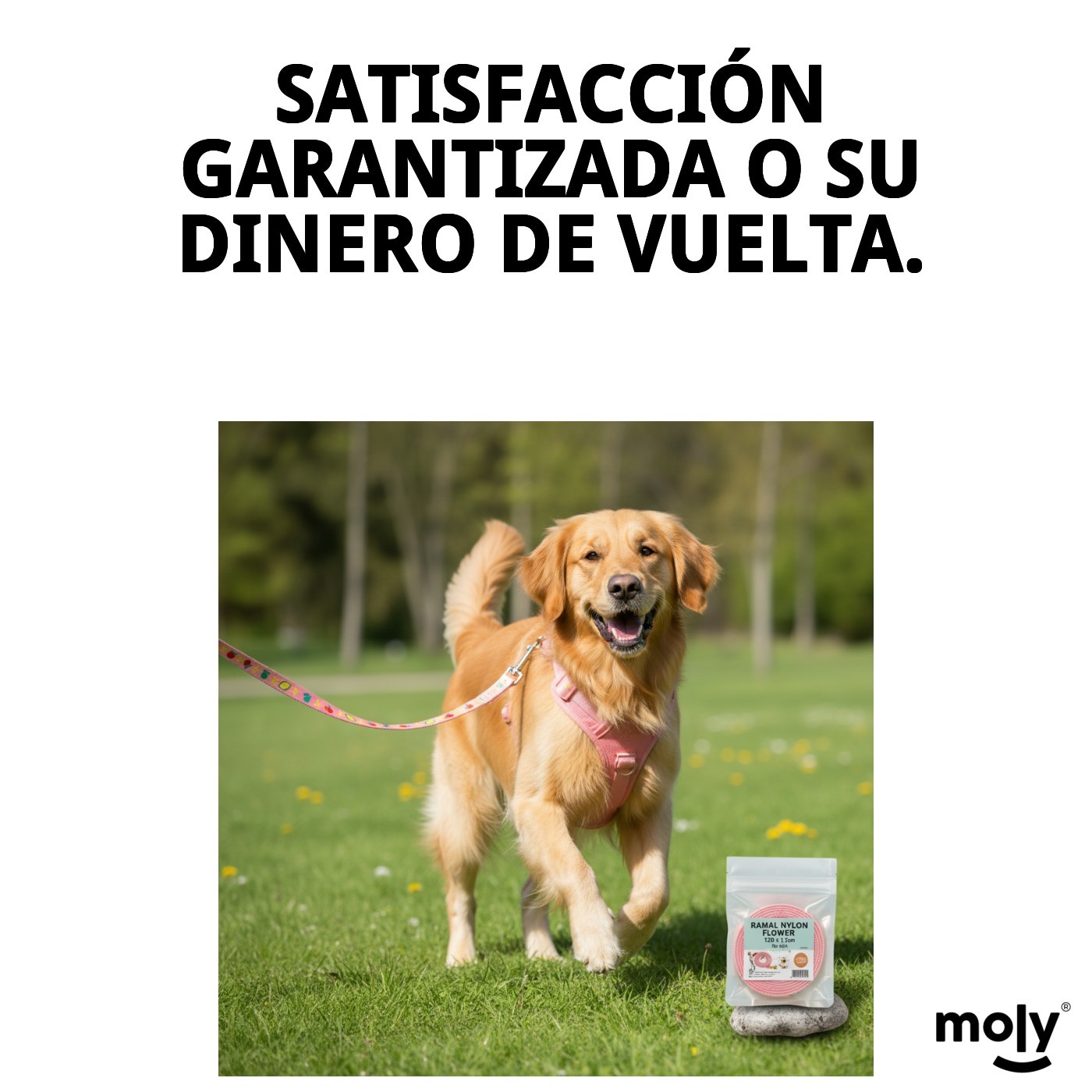 RAMAL NYLON FLOWER 120 X 1,5cm