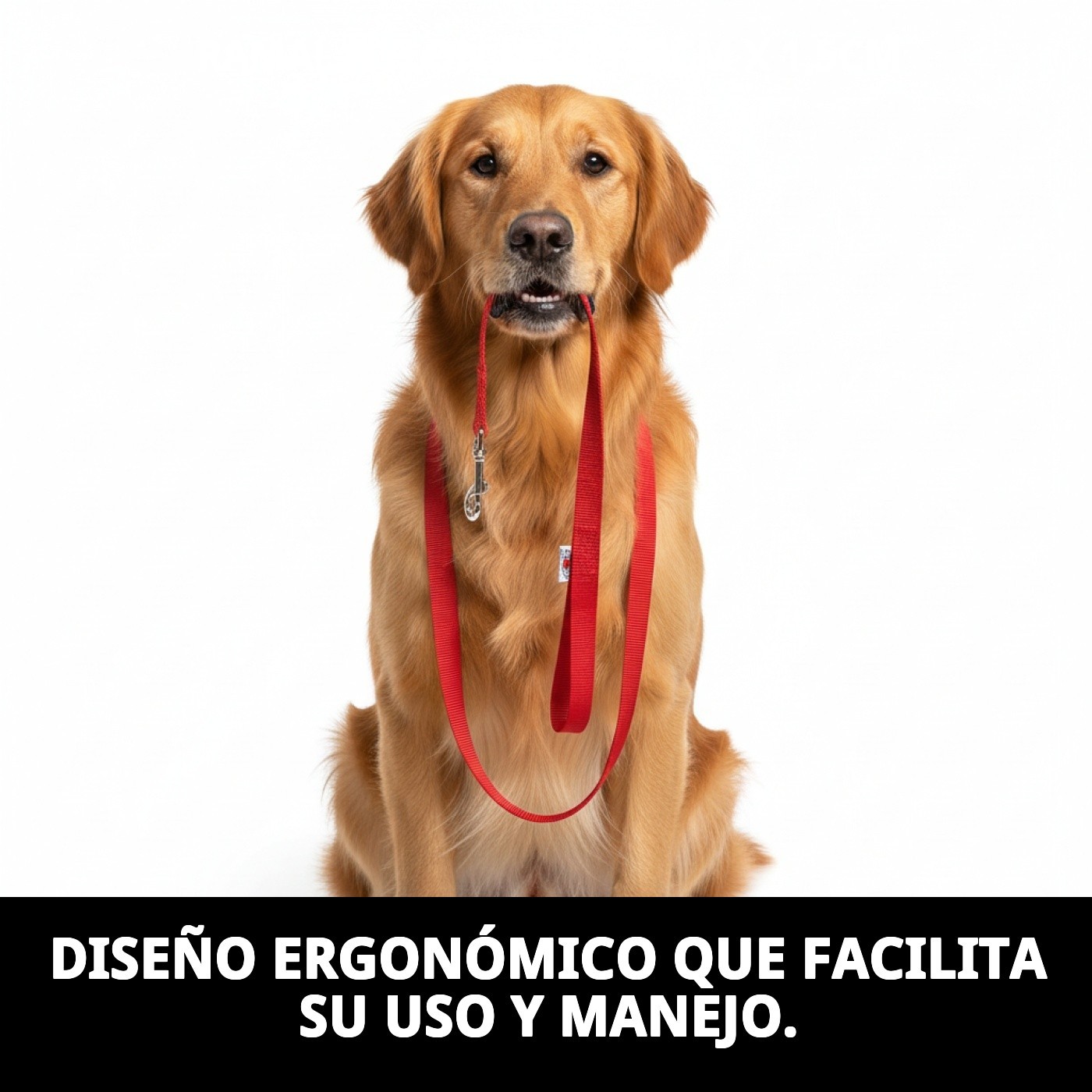 RAMAL NYLON LISO 120cm X 1,5cm