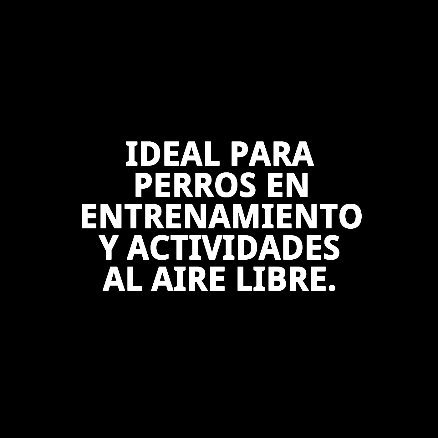 RAMAL NYLON POLICIA 200cm X 1,5cm