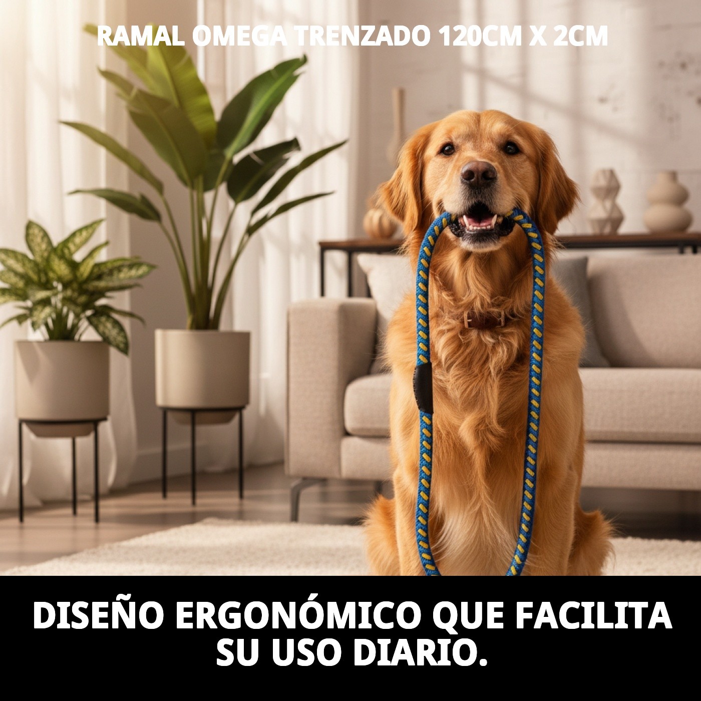 RAMAL OMEGA TRENZADO 120cm X 2cm