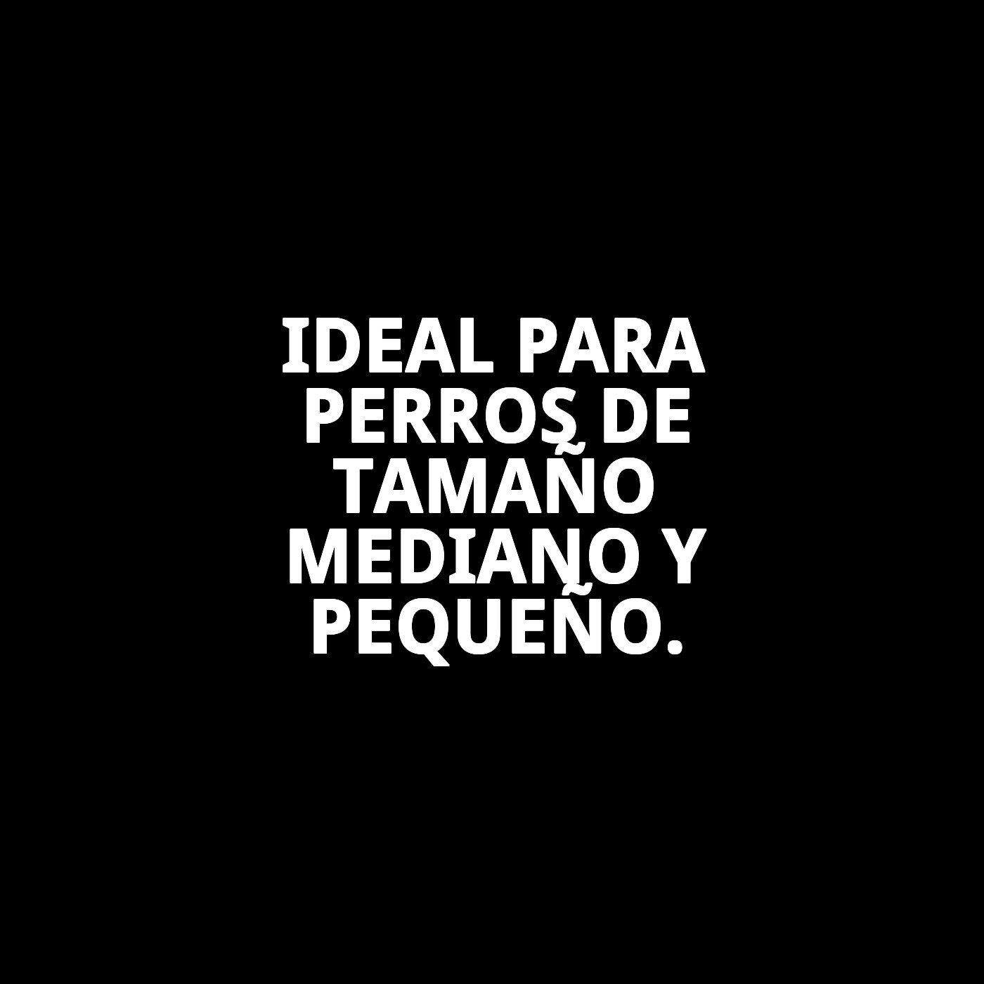 RAMAL TOPITOS T-2 120*2