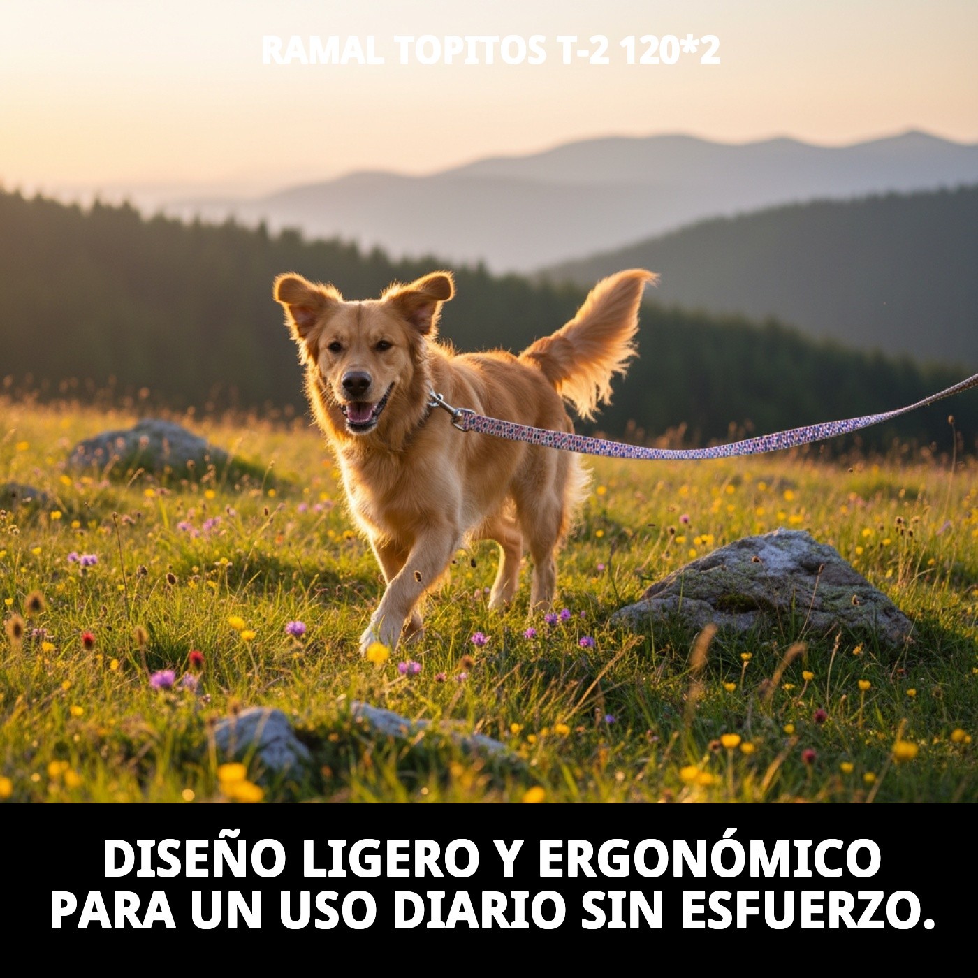 RAMAL TOPITOS T-2 120*2