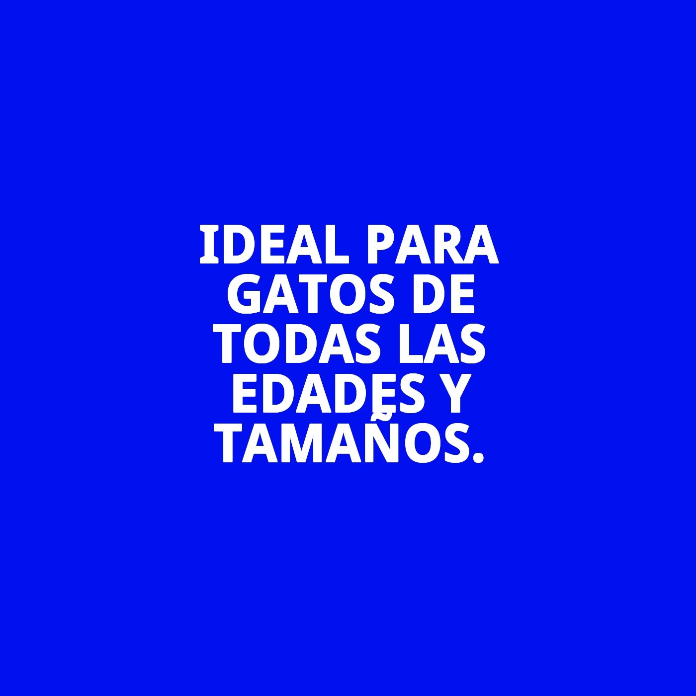 RASCADOR ONDULADO GATO 53X20,5X10 CM