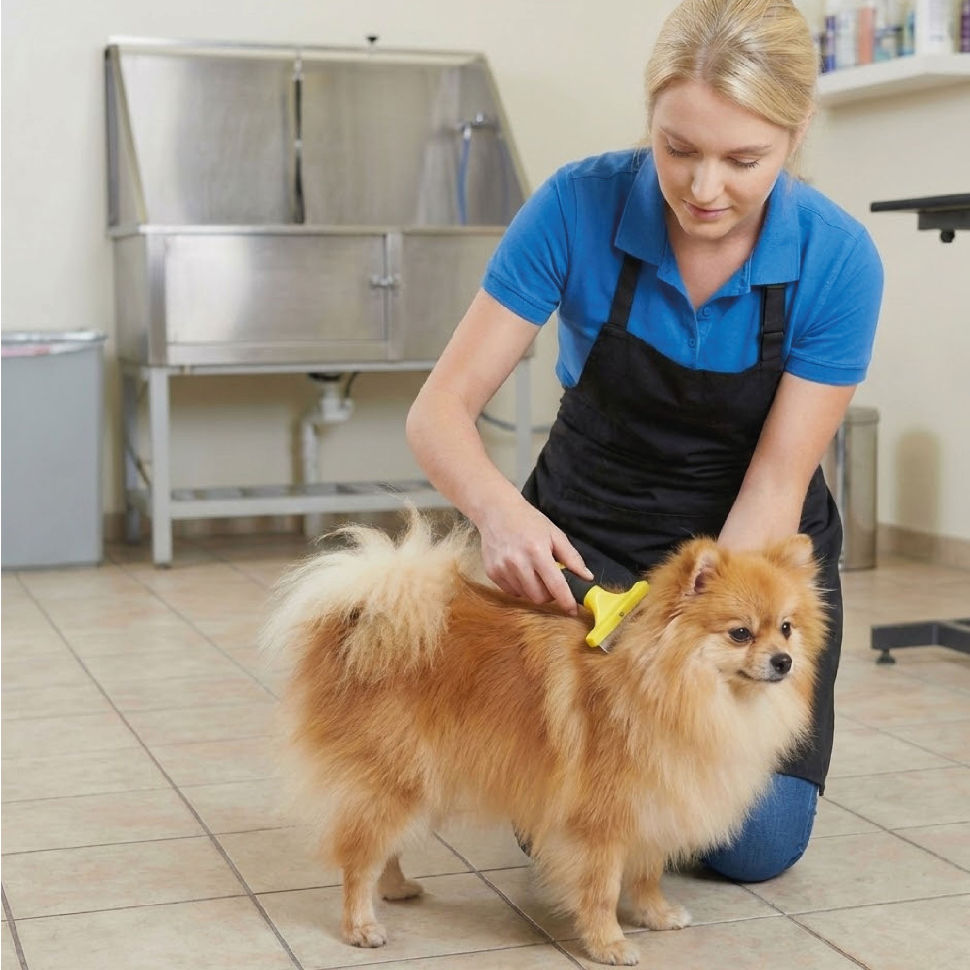Rastrillo Quitapelo Pequeño Moly Confort | Herramienta Precisa para Deslanado en Perros Pequeños