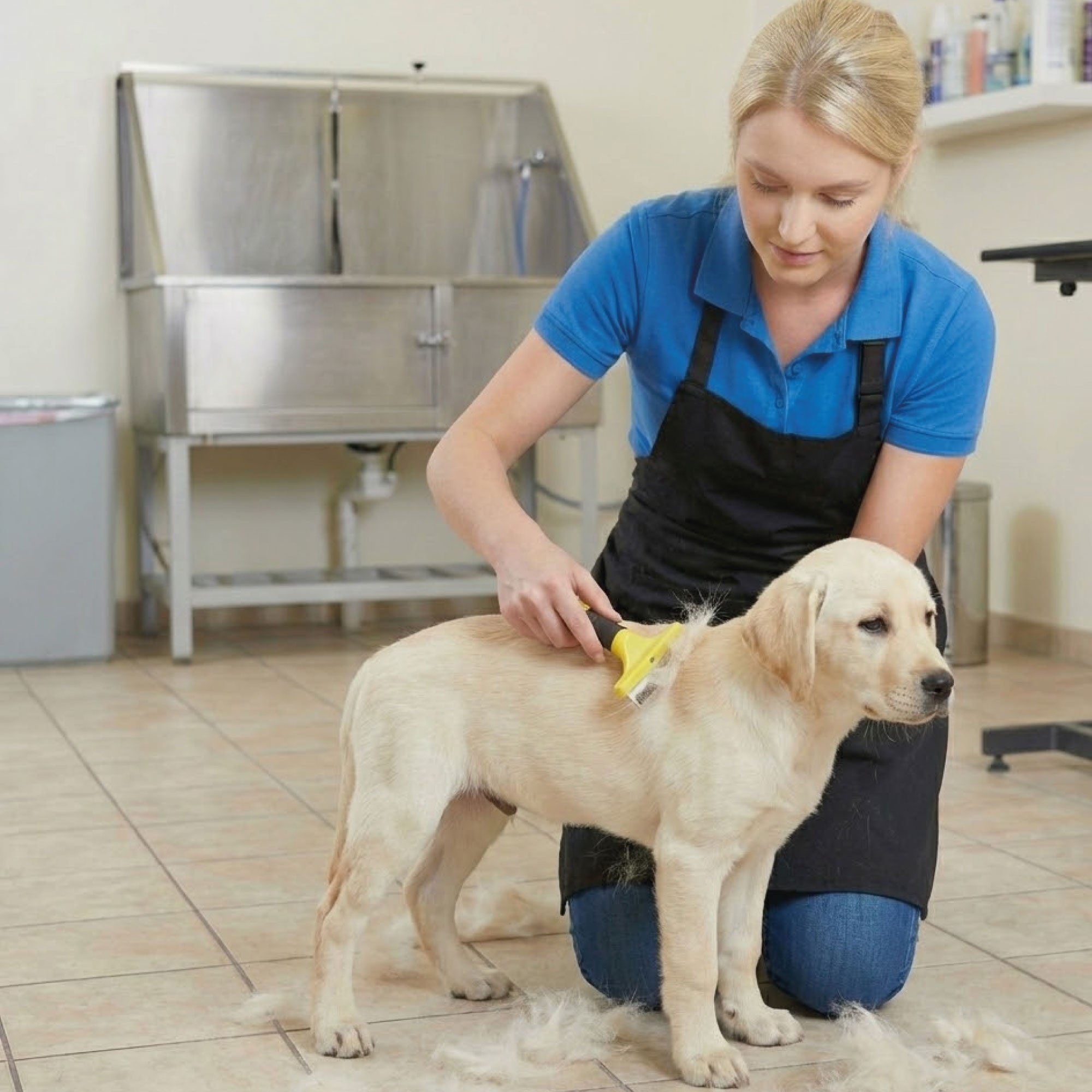 Rastrillo Quitapelo Pequeño Moly Confort | Herramienta Precisa para Deslanado en Perros Pequeños