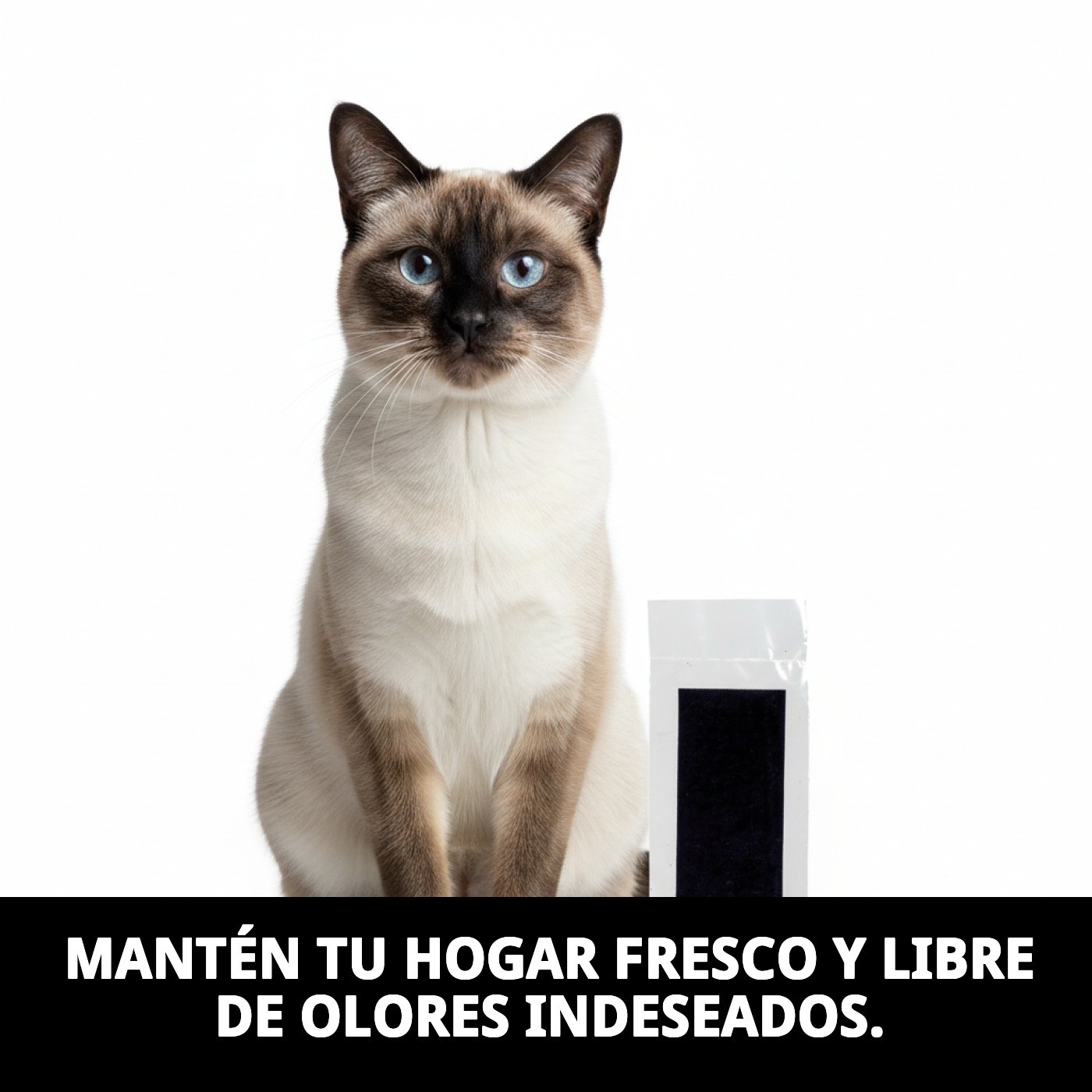 RECAMBIO CARBON FILTRO CASITA