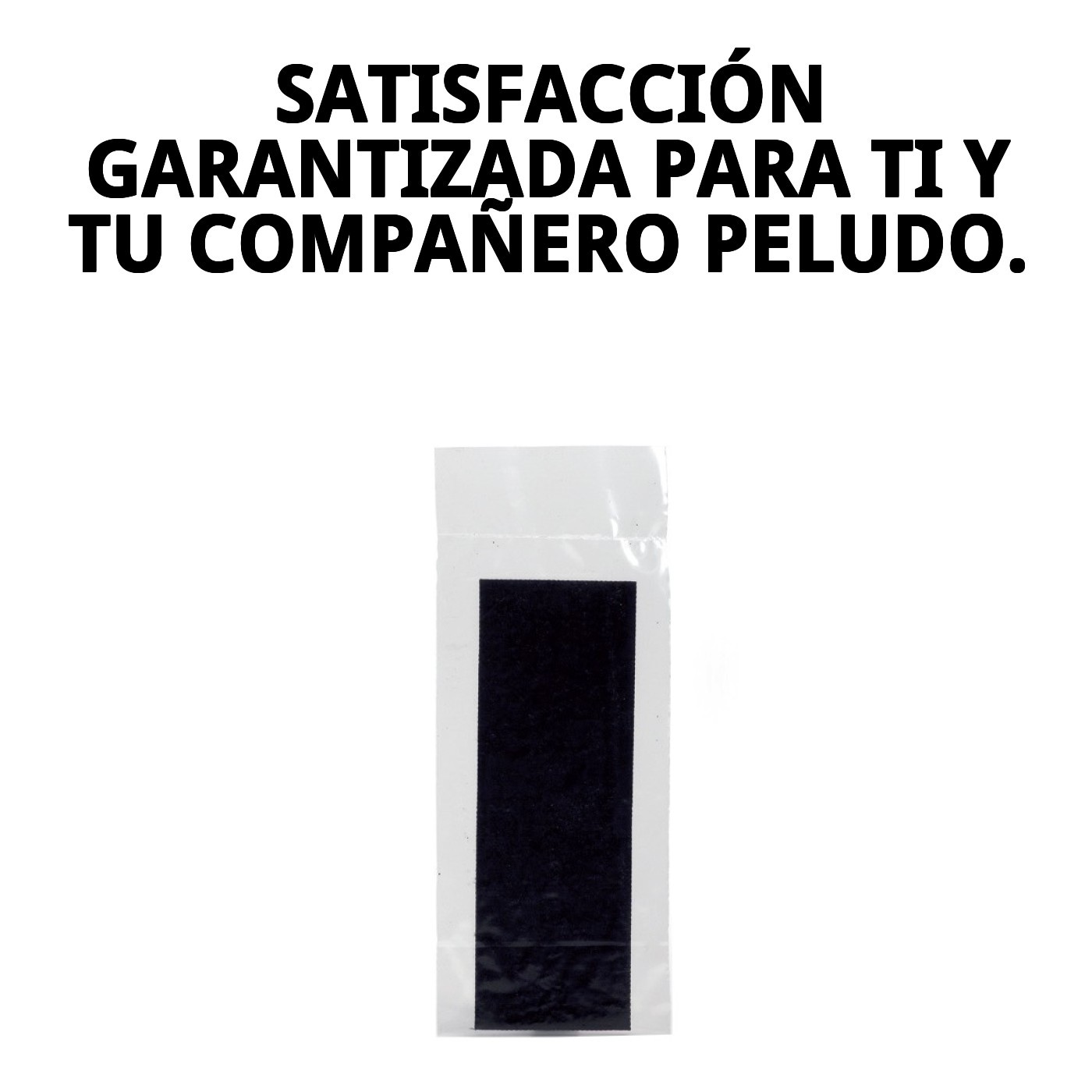 RECAMBIO CARBON FILTRO CASITA