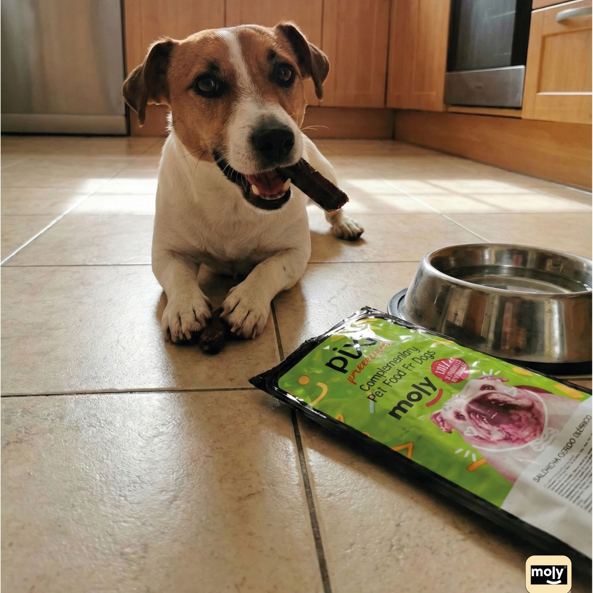 Salchichas de Cerdo Ibérico Moly 250 g | Snack Natural y Premium para Perros