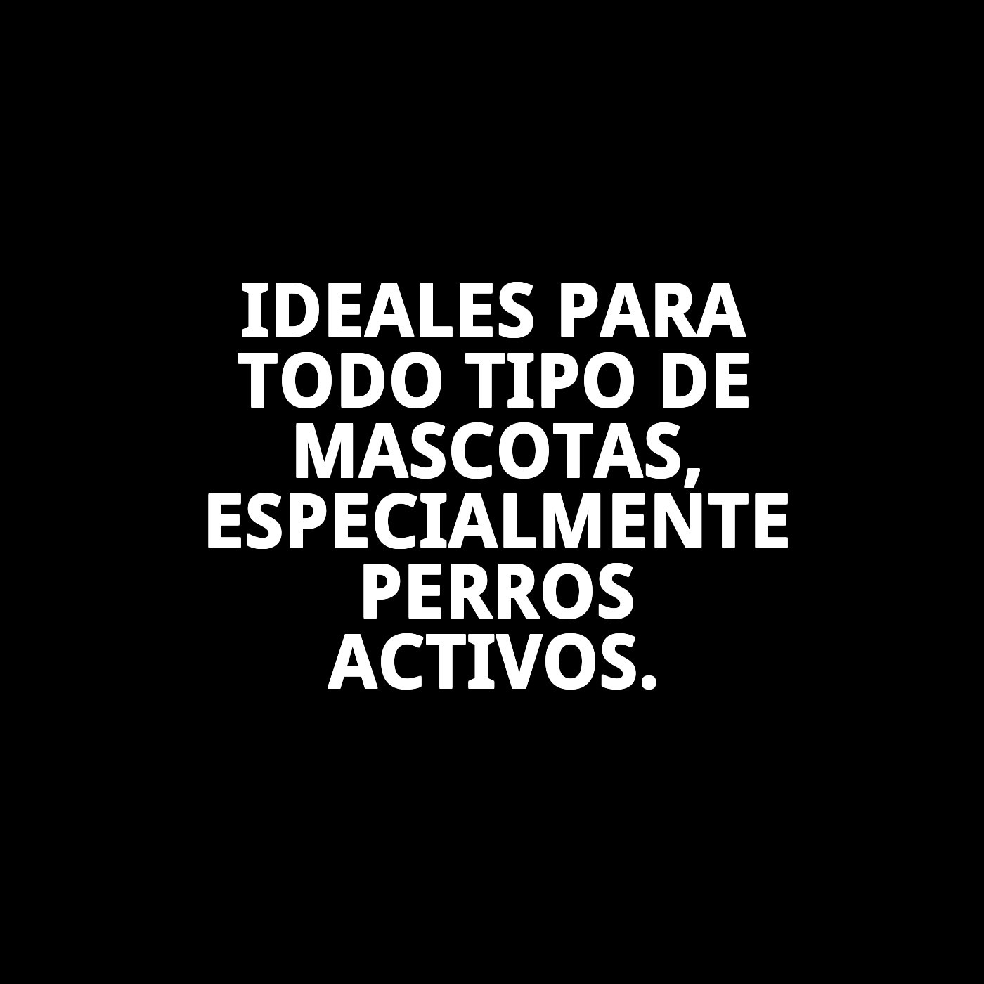 Set 4 Ruedas Giratorias para Transportines de Perro