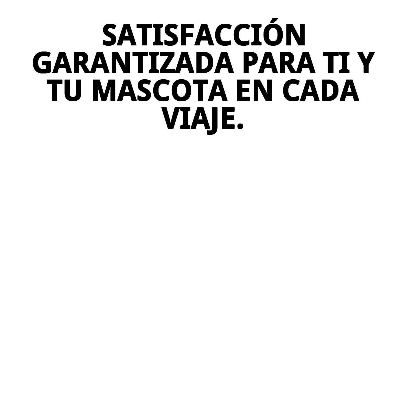 Set de 4 Ruedas para Transportín Gulliver 4-5-6-7