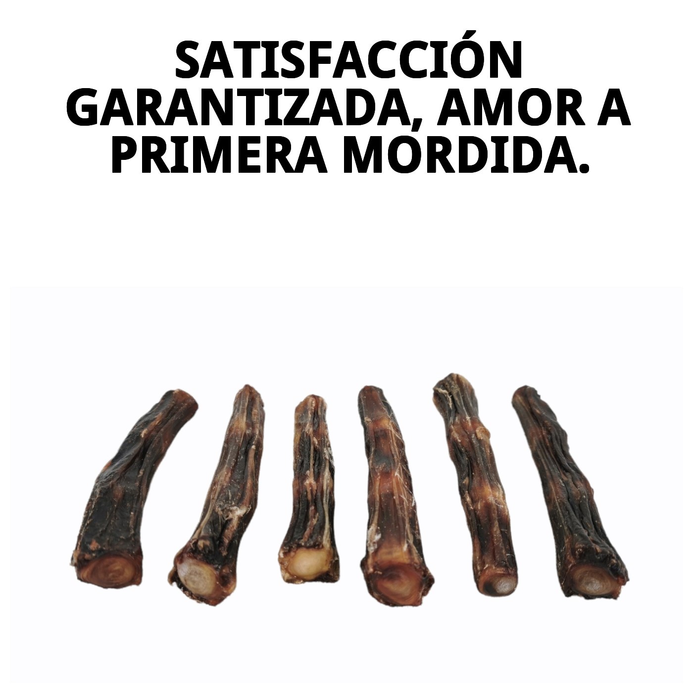 Snack Moly Rabo de Buey Talla S (12–14 cm) | Masticación Natural y Duradera para Perros Pequeños