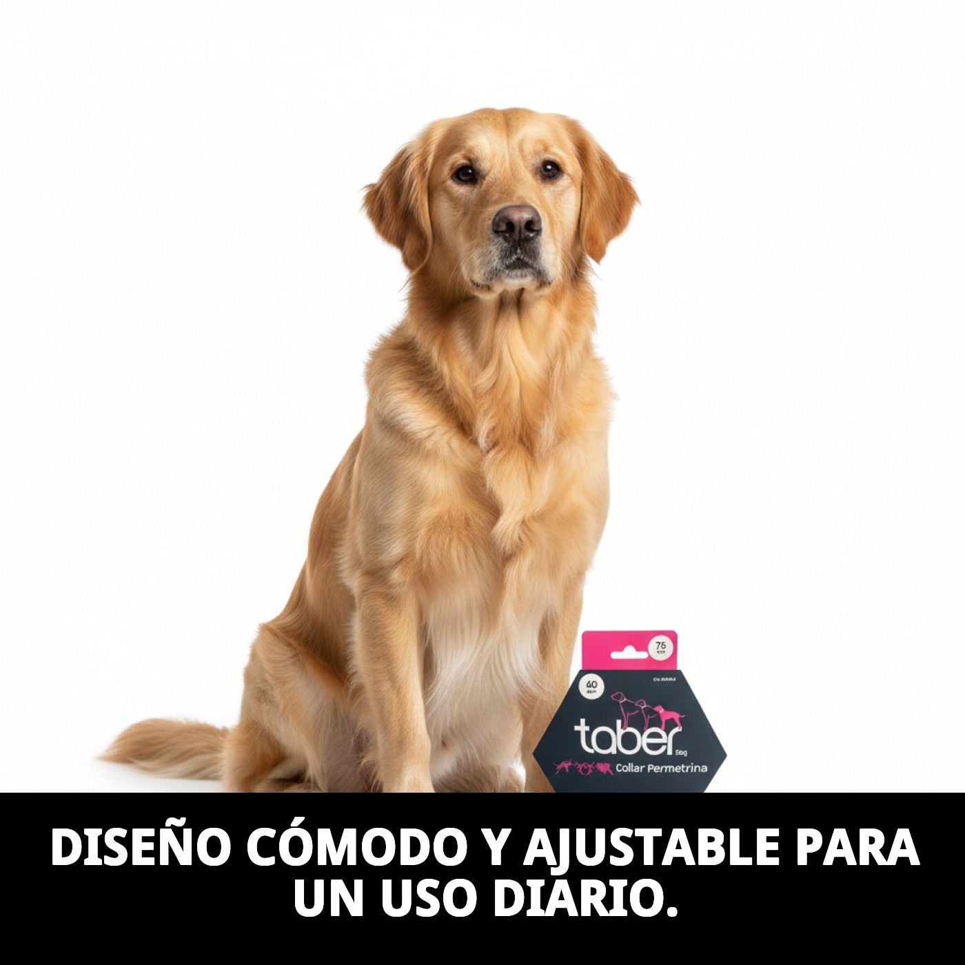 TABERDOG COLLAR PERMETRINA 75 CM