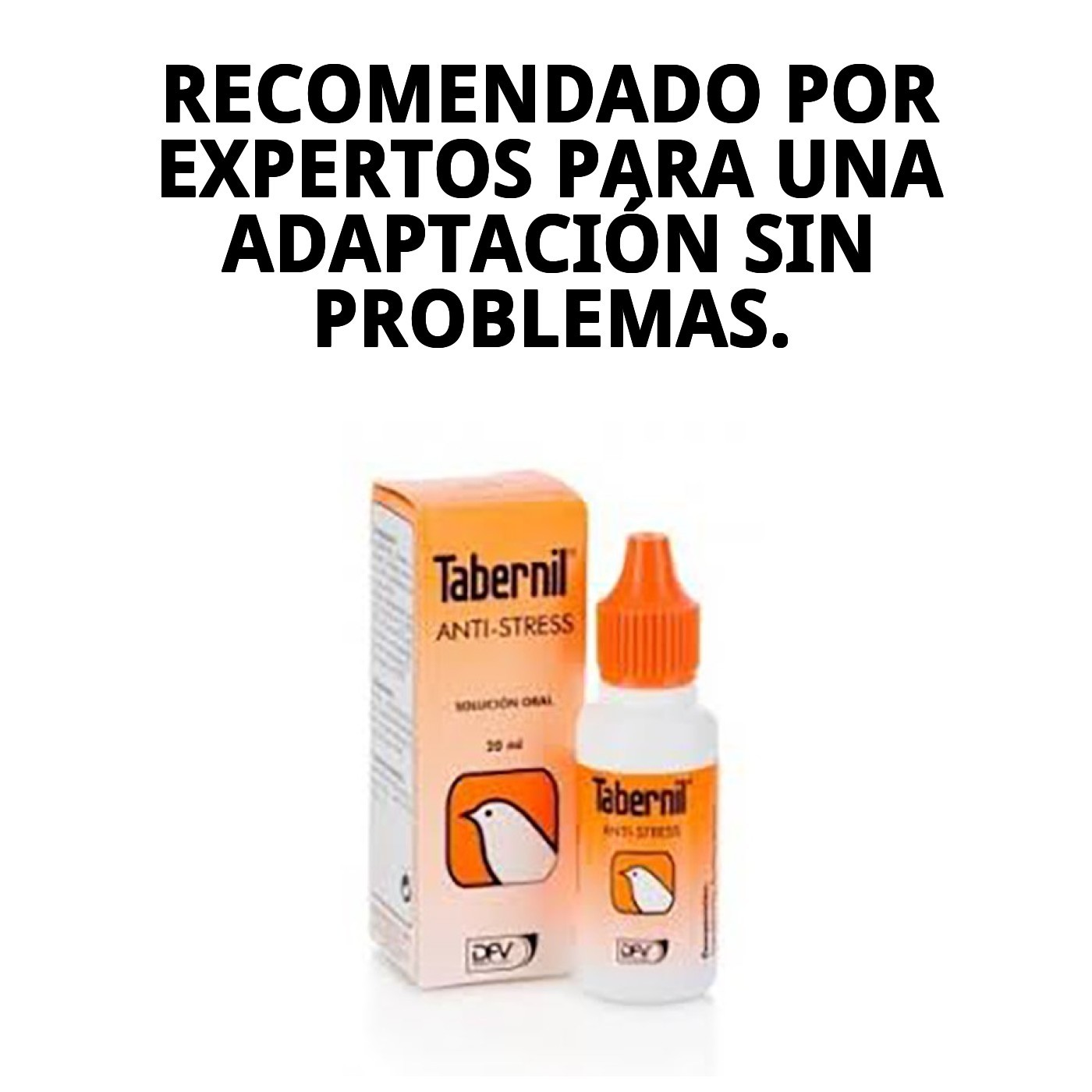 TABERNIL ANTI STRESS 20 ML