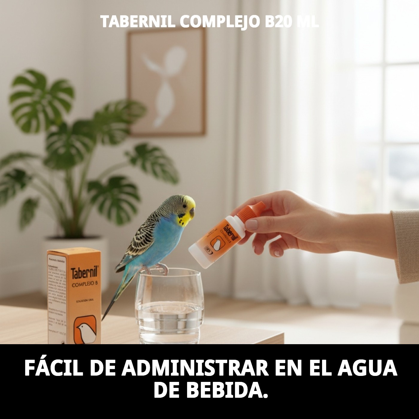 TABERNIL COMPLEJO B20 ML